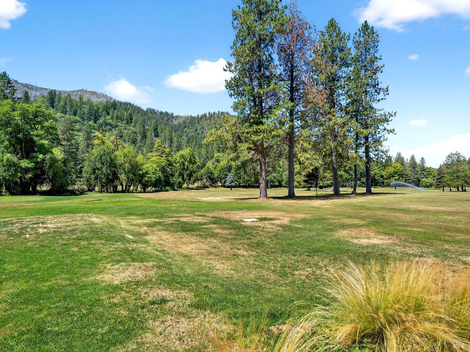 Detail Gallery Image 59 of 91 For 16451 Golf Rd, Cobb,  CA 95426 - 2 Beds | 1 Baths