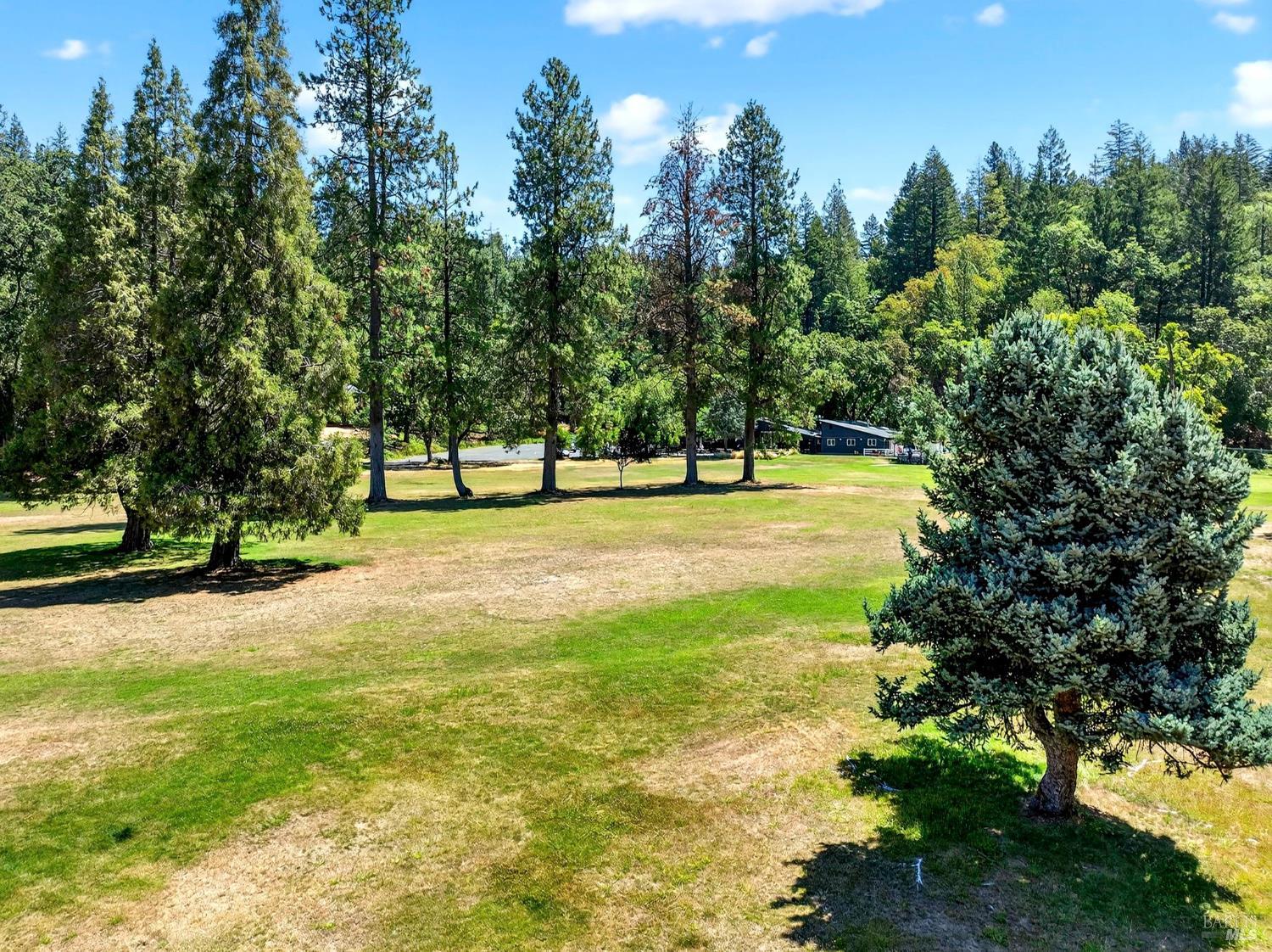 Detail Gallery Image 14 of 91 For 16451 Golf Rd, Cobb,  CA 95426 - 2 Beds | 1 Baths