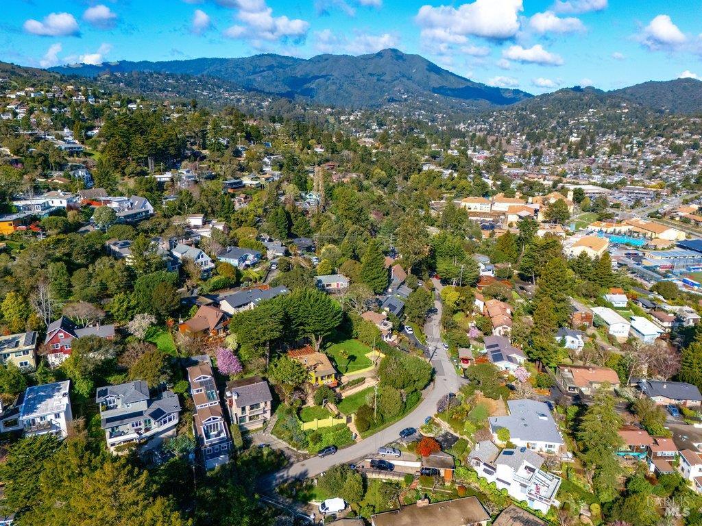 Detail Gallery Image 31 of 37 For 146 Morning Sun Ave, Mill Valley,  CA 94941 - 3 Beds | 2 Baths