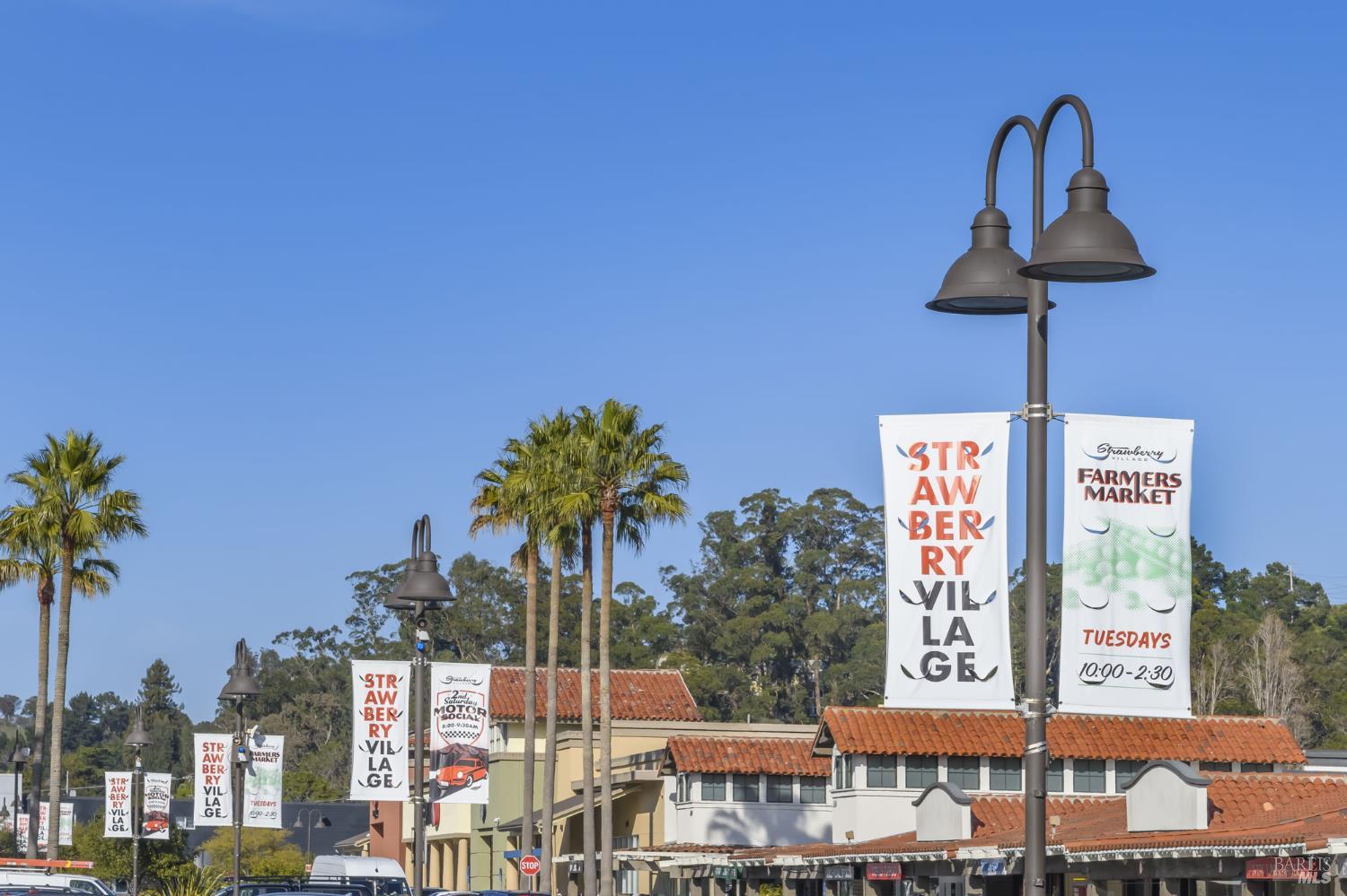 Detail Gallery Image 39 of 45 For 115 Eucalyptus Knoll St, Mill Valley,  CA 94941 - 2 Beds | 2 Baths