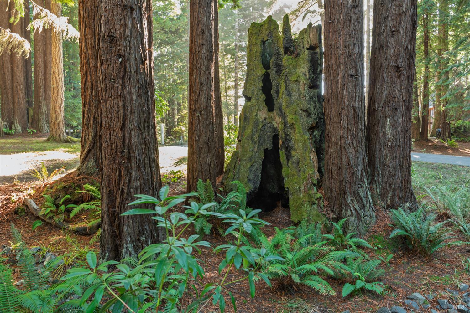 Detail Gallery Image 33 of 40 For 37162 Schooner Dr, The Sea Ranch,  CA 95497 - 1 Beds | 1 Baths