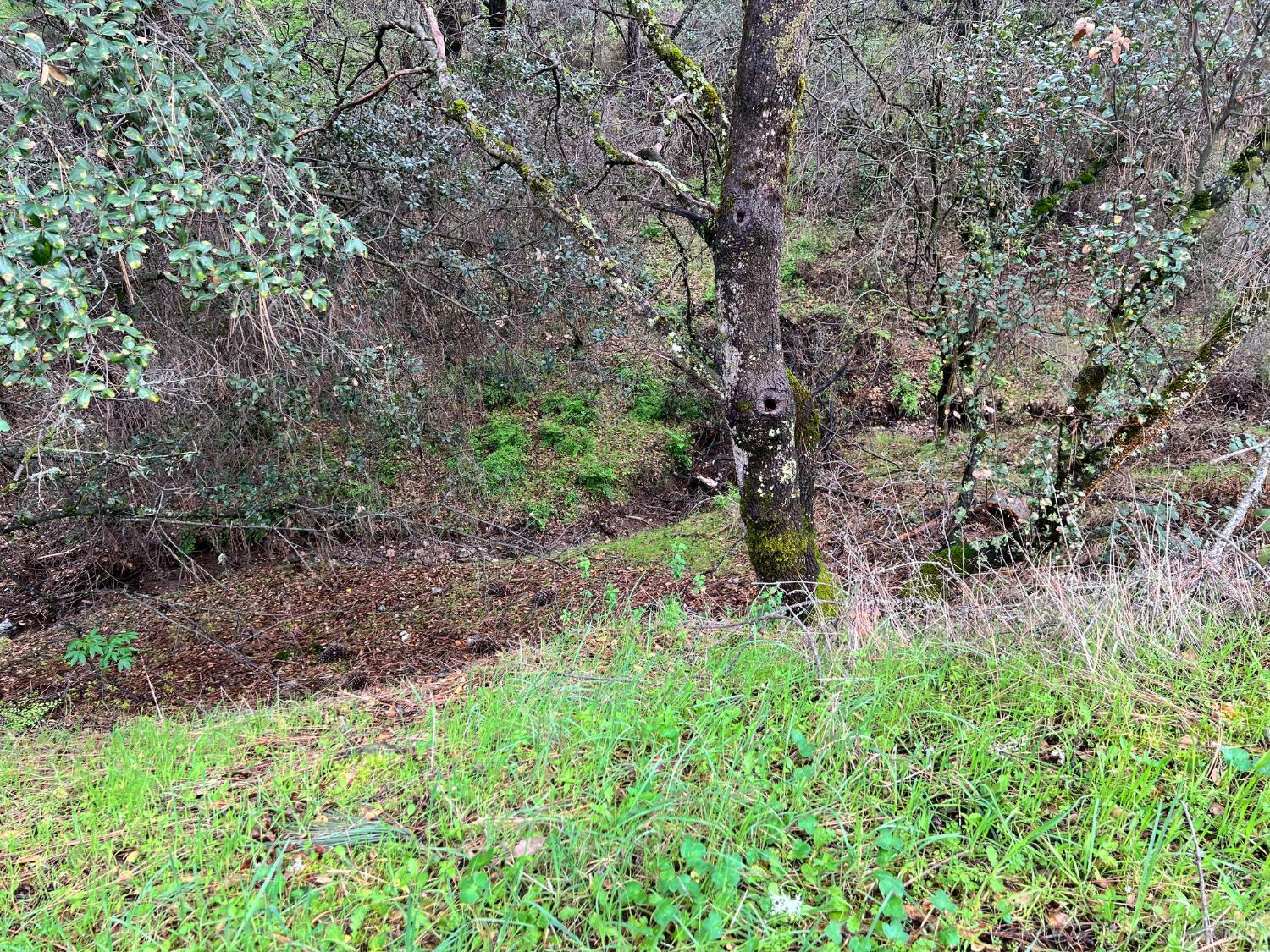 Detail Gallery Image 6 of 11 For 12215 Mountain View Dr, Clearlake Oaks,  CA 95423 - – Beds | – Baths