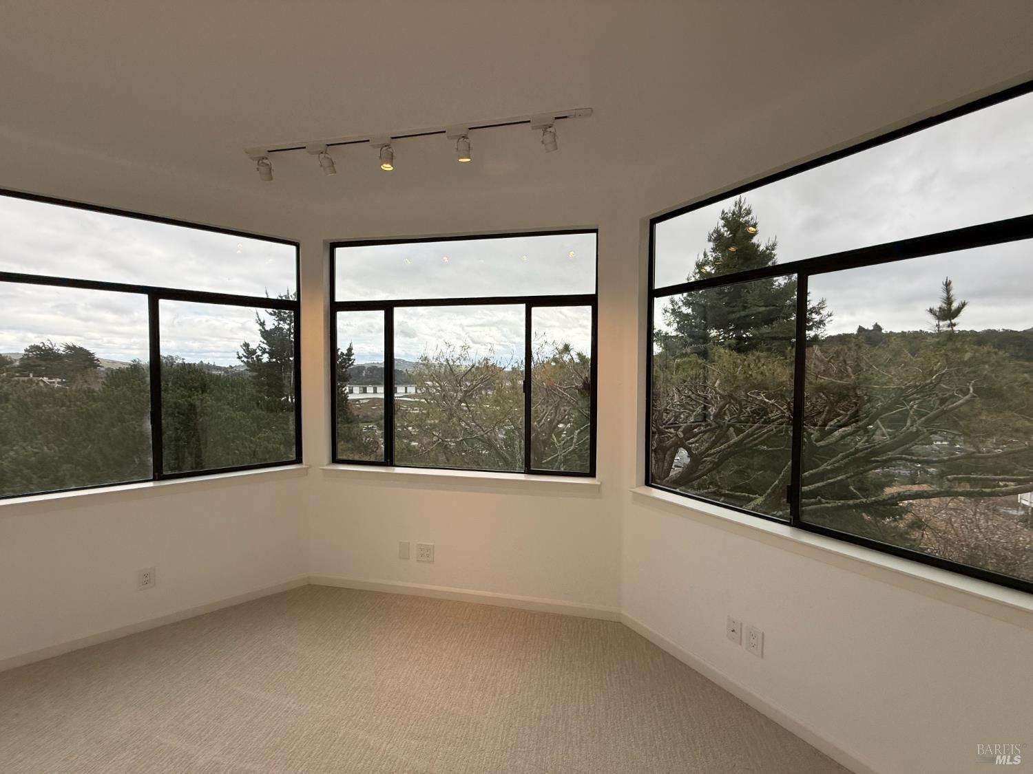 Detail Gallery Image 15 of 20 For 291 Greene St, Mill Valley,  CA 94941 - 3 Beds | 2/1 Baths