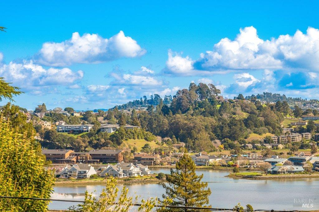 Detail Gallery Image 24 of 37 For 146 Morning Sun Ave, Mill Valley,  CA 94941 - 3 Beds | 2 Baths