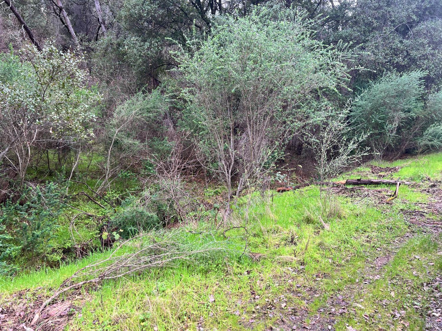 Detail Gallery Image 8 of 11 For 12215 Mountain View Dr, Clearlake Oaks,  CA 95423 - – Beds | – Baths