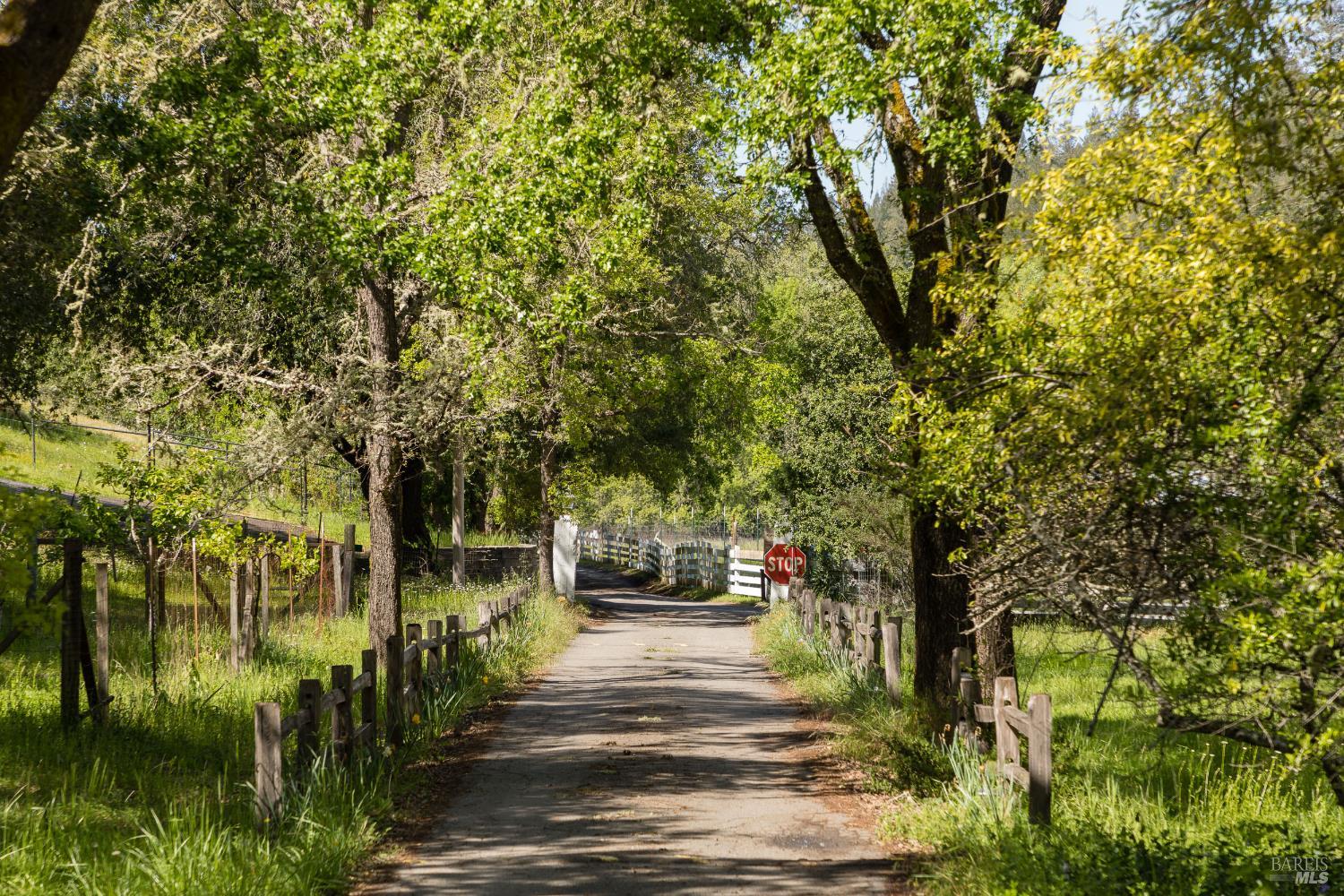 Detail Gallery Image 39 of 45 For 6764 Giovanetti Rd, Forestville,  CA 95436 - 4 Beds | 2 Baths