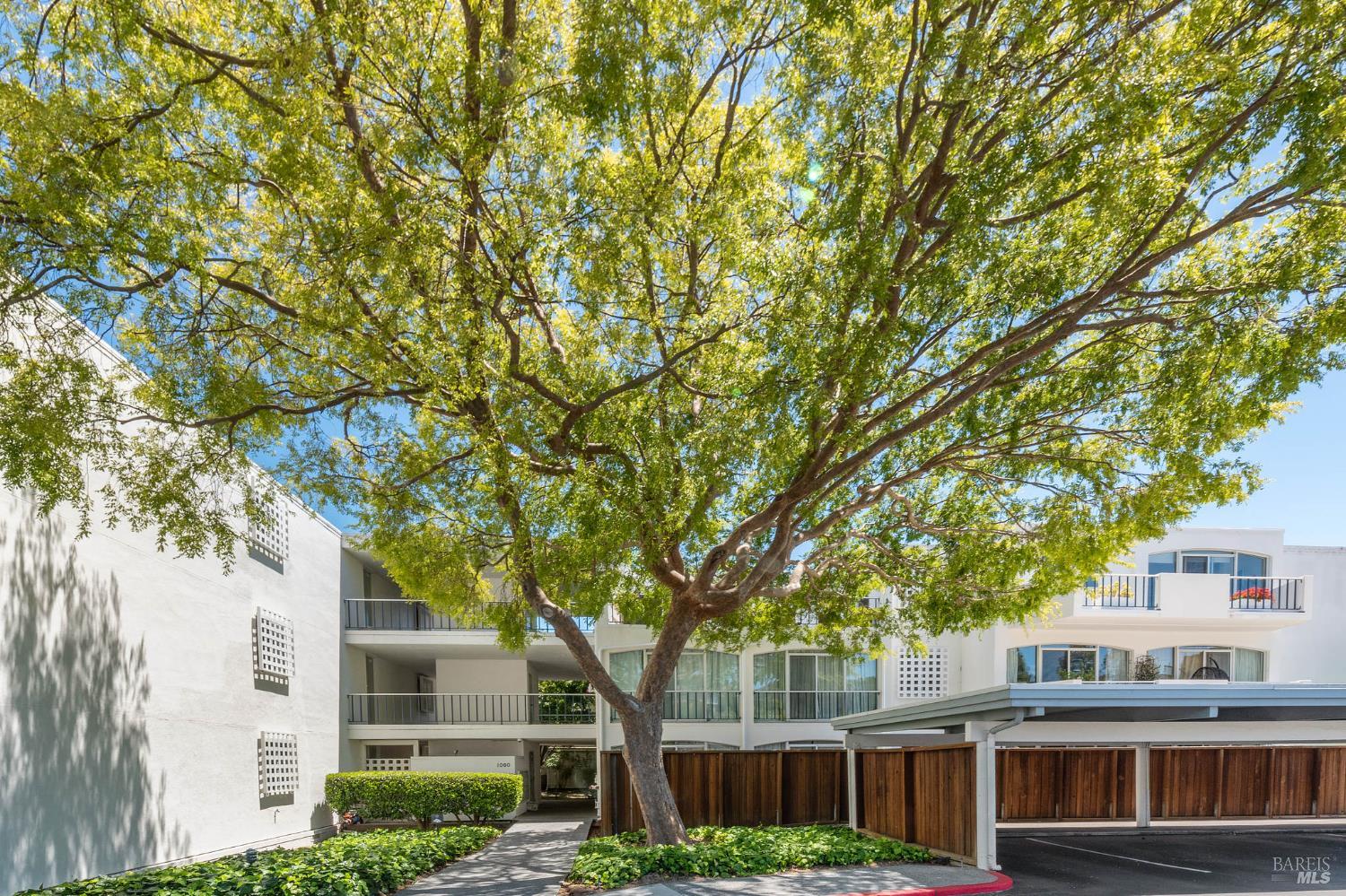 Detail Gallery Image 29 of 32 For 1106 Shelter Bay Ave, Mill Valley,  CA 94941 - 2 Beds | 2 Baths