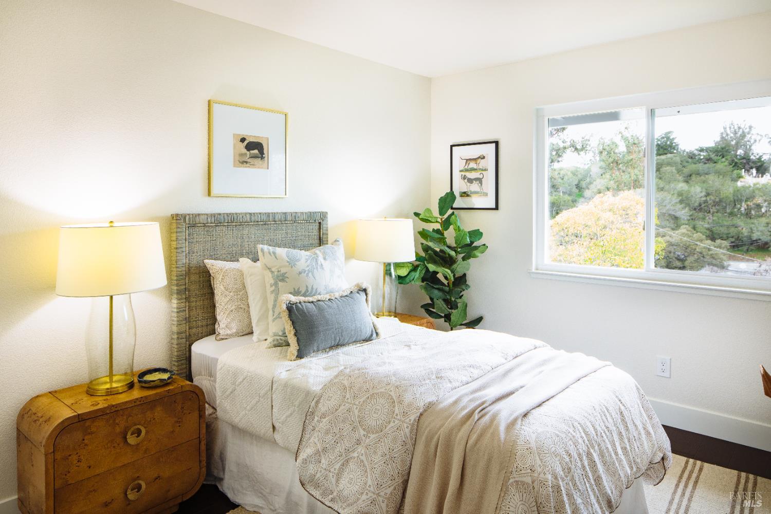 Detail Gallery Image 29 of 45 For 874 Cherry St, Petaluma,  CA 94952 - 4 Beds | 3 Baths