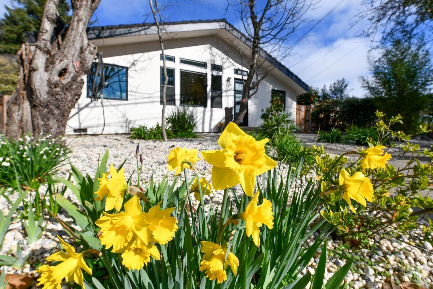 Detail Gallery Image 3 of 44 For 2470 W Pueblo Ave, Napa,  CA 94558 - 3 Beds | 2 Baths