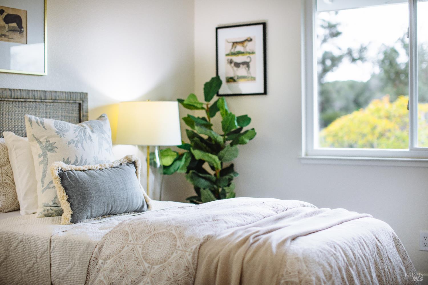 Detail Gallery Image 31 of 45 For 874 Cherry St, Petaluma,  CA 94952 - 4 Beds | 3 Baths