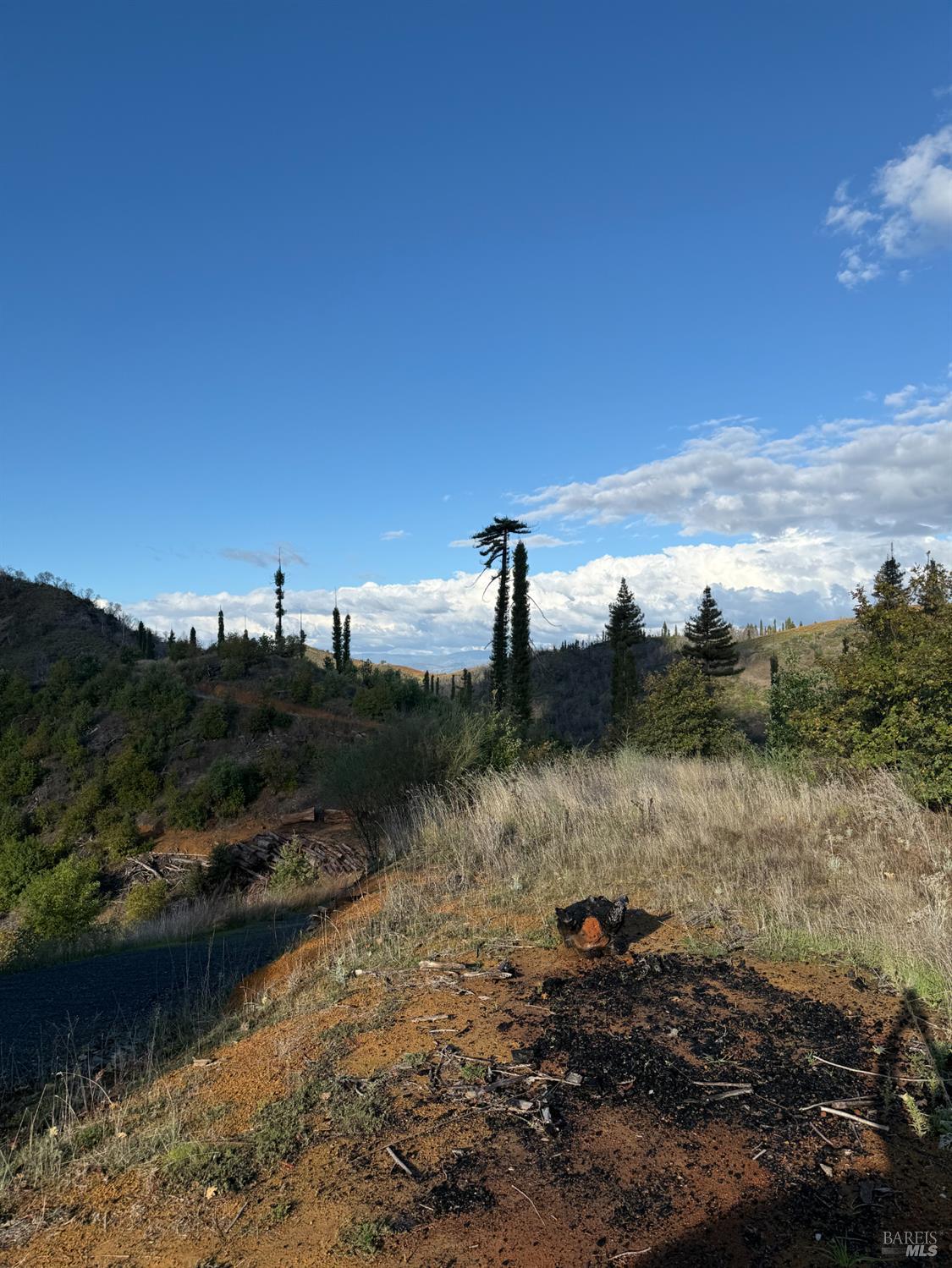 Detail Gallery Image 41 of 61 For 9451 Mill Creek Rd, Healdsburg,  CA 95448 - 2 Beds | 2 Baths