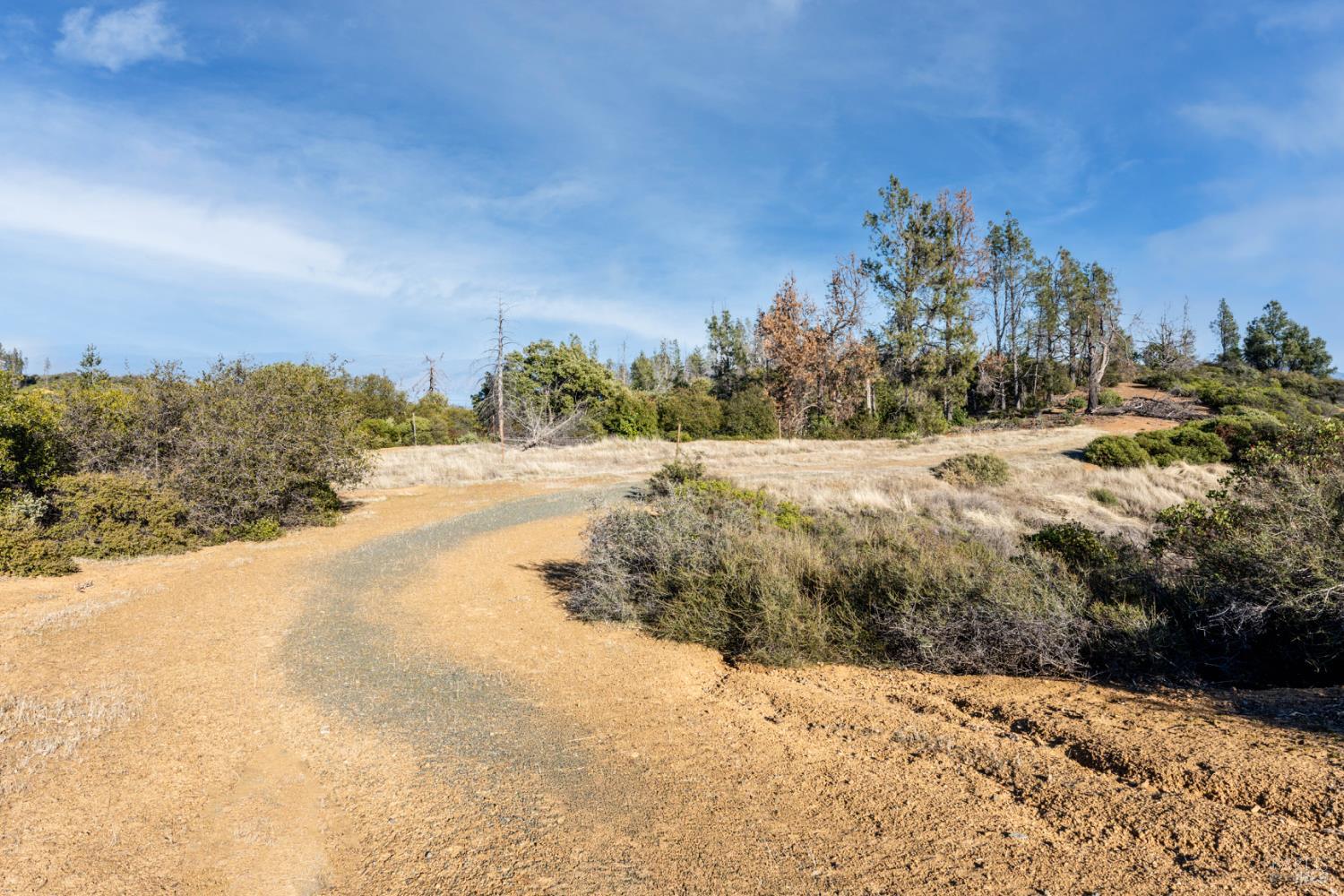 Detail Gallery Image 14 of 20 For 3681 Benmore Valley Rd, Lakeport,  CA 95453 - – Beds | – Baths