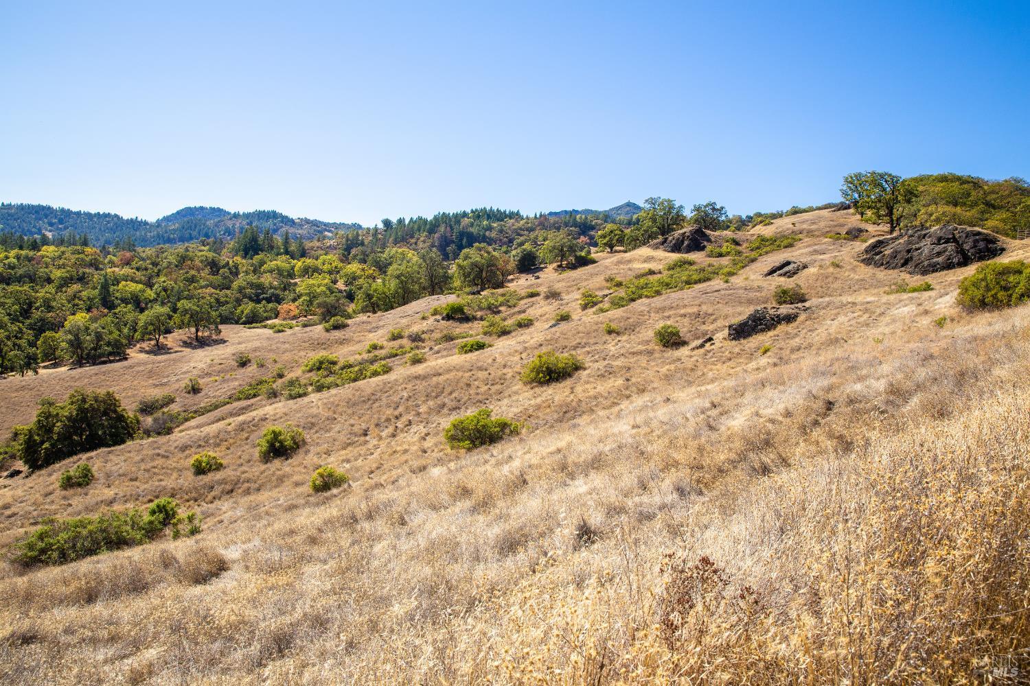 Detail Gallery Image 9 of 15 For 7721 Simmerly Ranch Rd, Laytonville,  CA 95454 - – Beds | – Baths