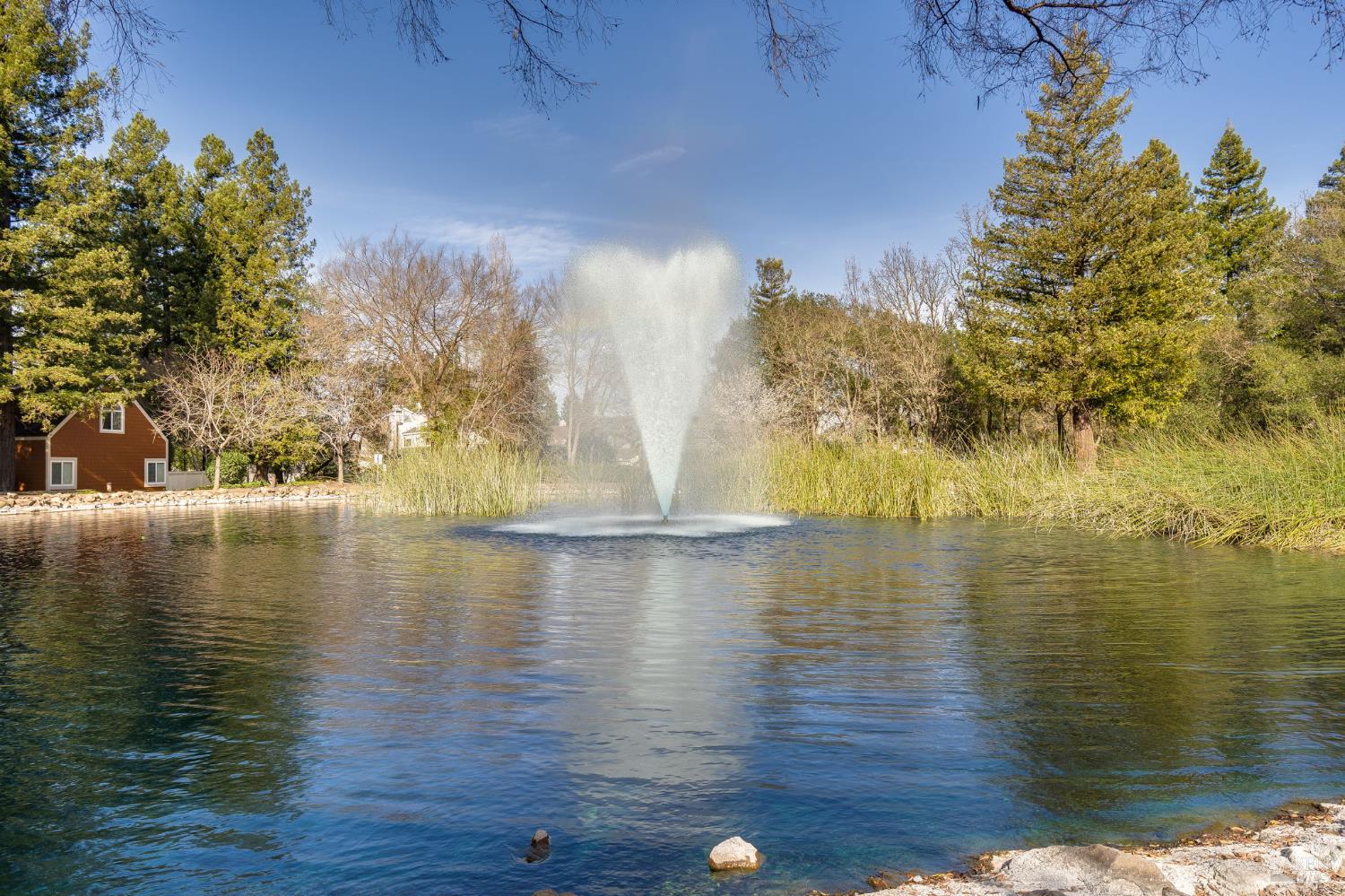 Detail Gallery Image 41 of 47 For 2322 Lakeview Dr, Santa Rosa,  CA 95405 - 3 Beds | 2 Baths