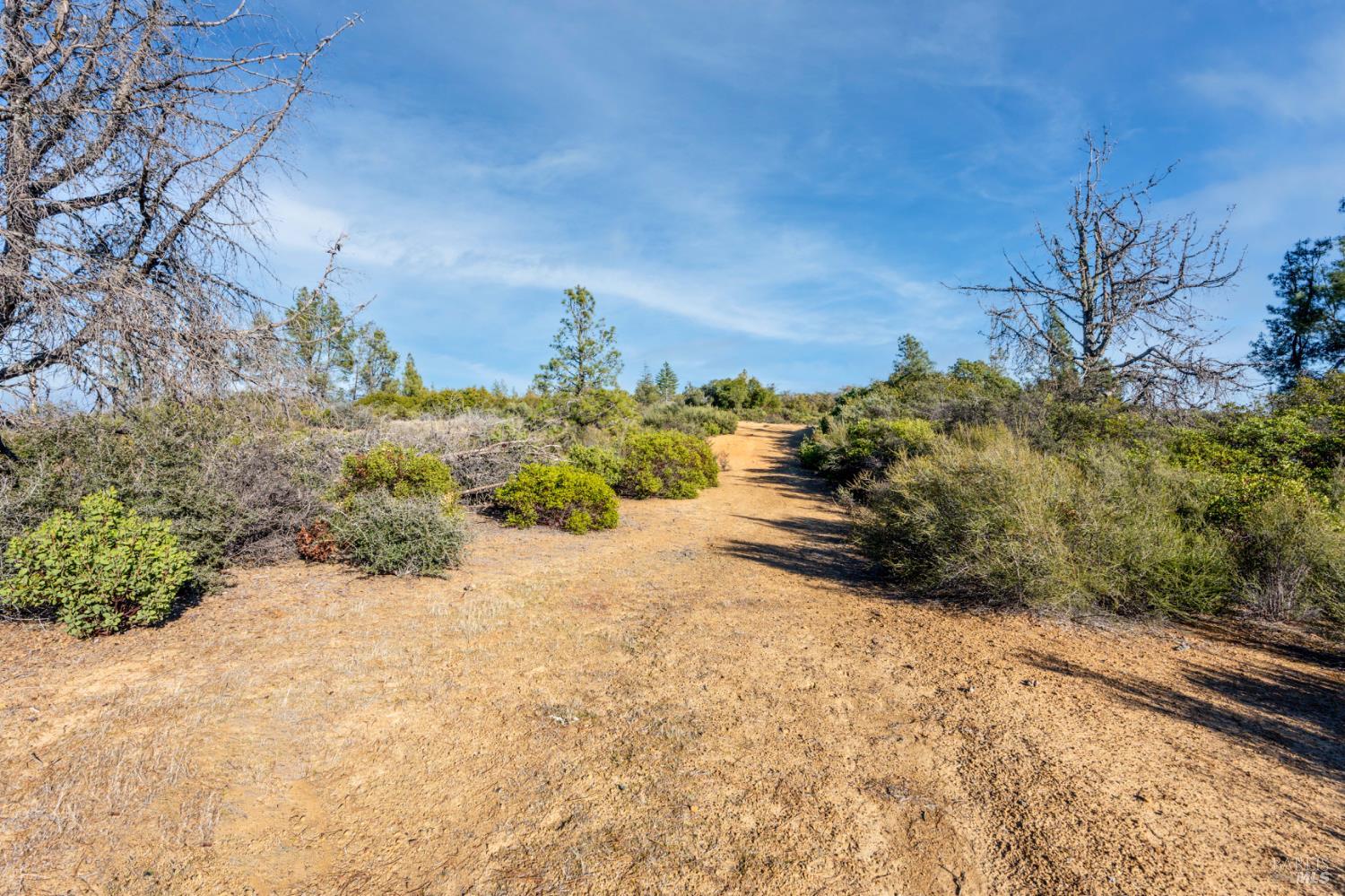 Detail Gallery Image 12 of 20 For 3681 Benmore Valley Rd, Lakeport,  CA 95453 - – Beds | – Baths