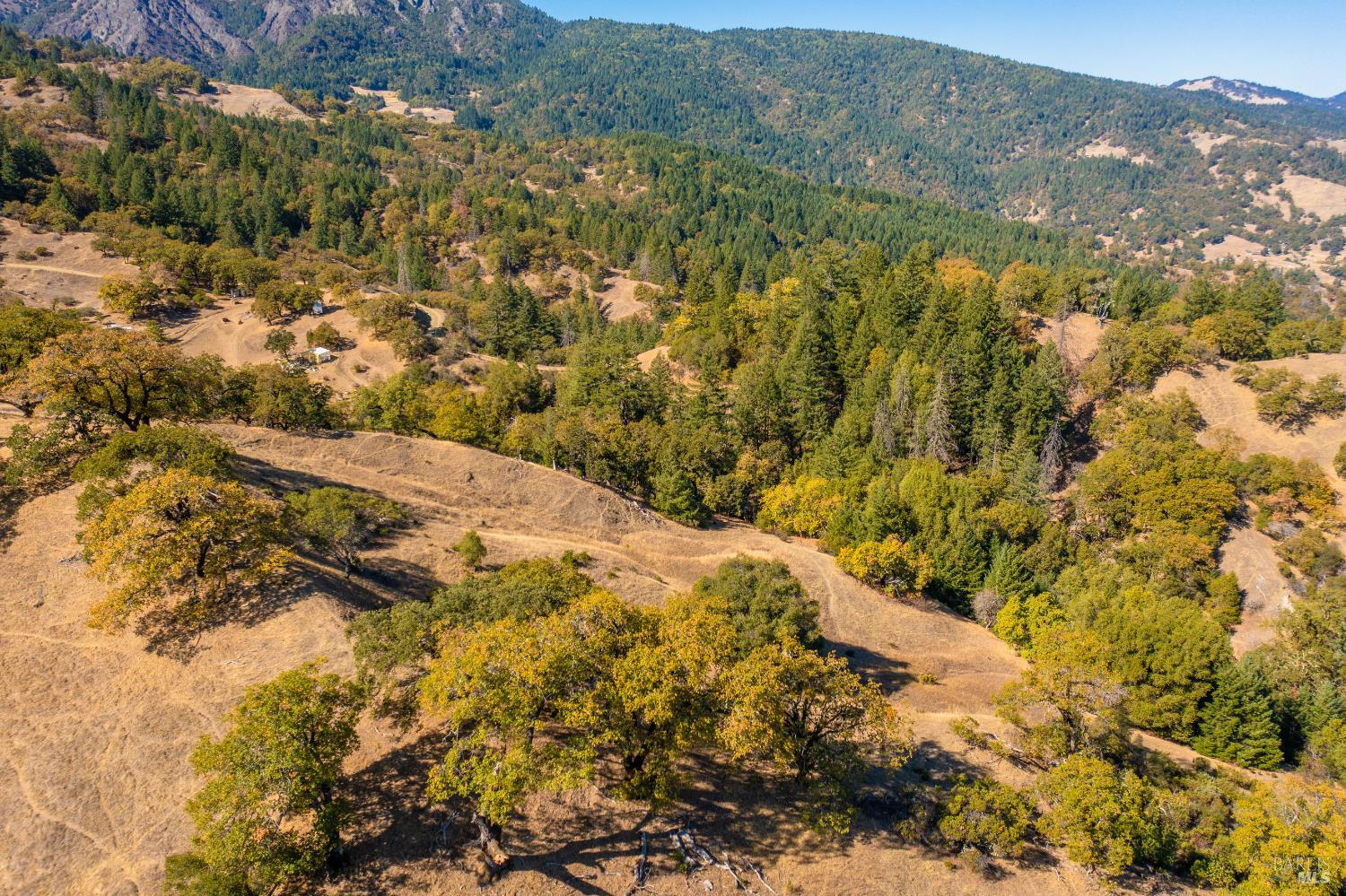 Detail Gallery Image 13 of 15 For 7721 Simmerly Ranch Rd, Laytonville,  CA 95454 - – Beds | – Baths