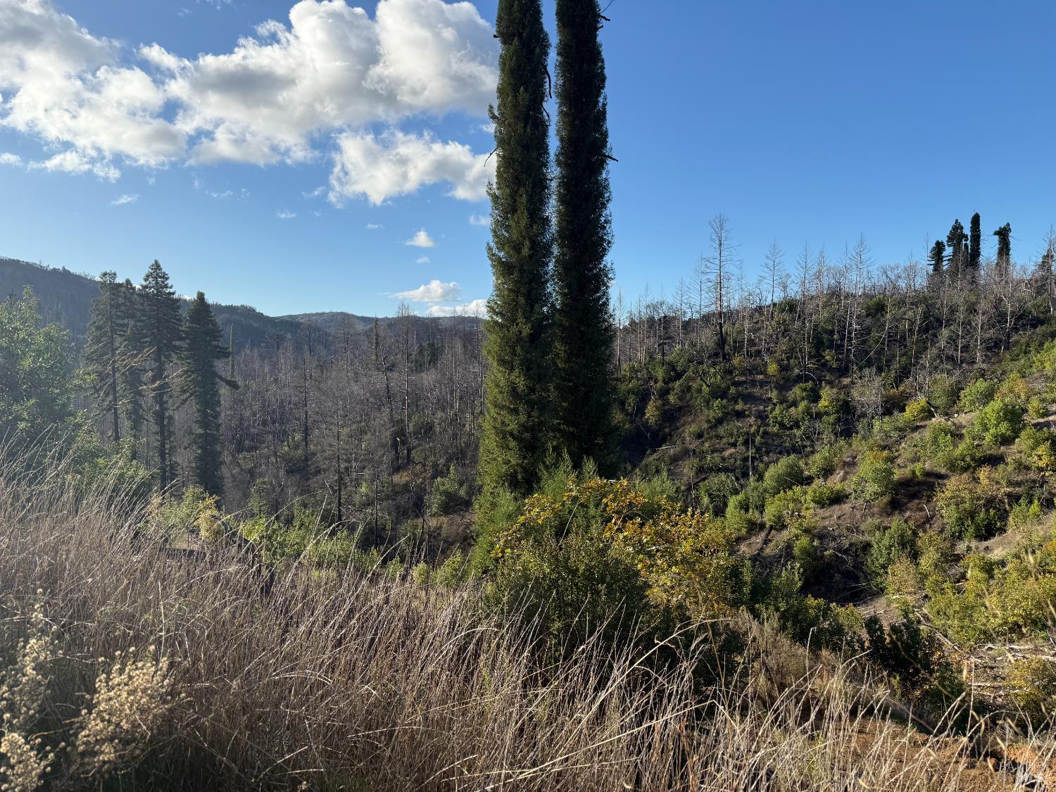 Detail Gallery Image 38 of 61 For 9451 Mill Creek Rd, Healdsburg,  CA 95448 - 2 Beds | 2 Baths