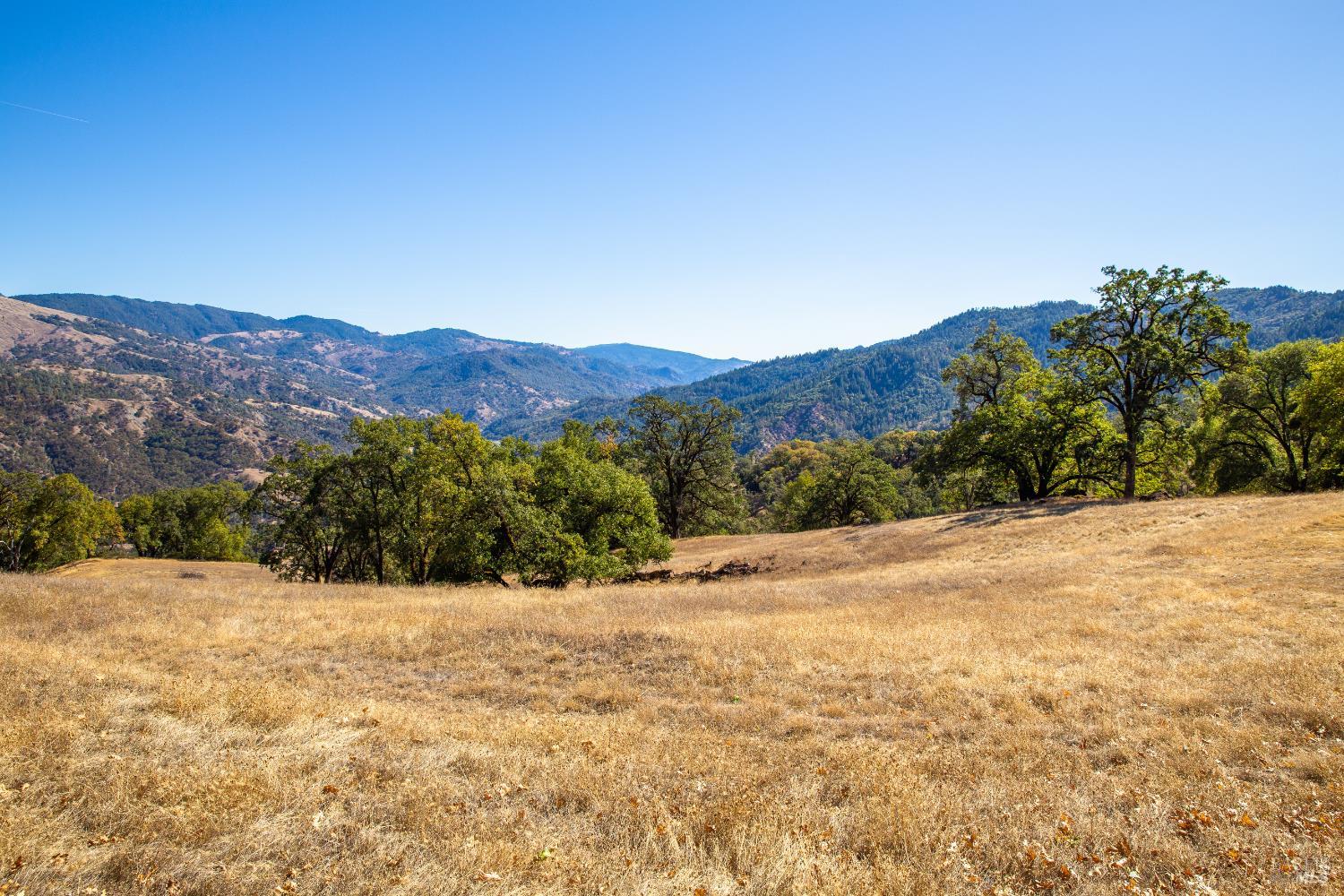 Detail Gallery Image 11 of 15 For 7721 Simmerly Ranch Rd, Laytonville,  CA 95454 - – Beds | – Baths