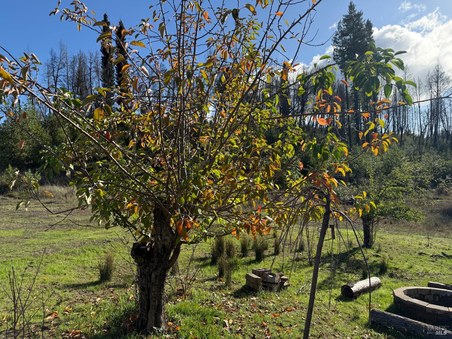 Detail Gallery Image 57 of 61 For 9451 Mill Creek Rd, Healdsburg,  CA 95448 - 2 Beds | 2 Baths