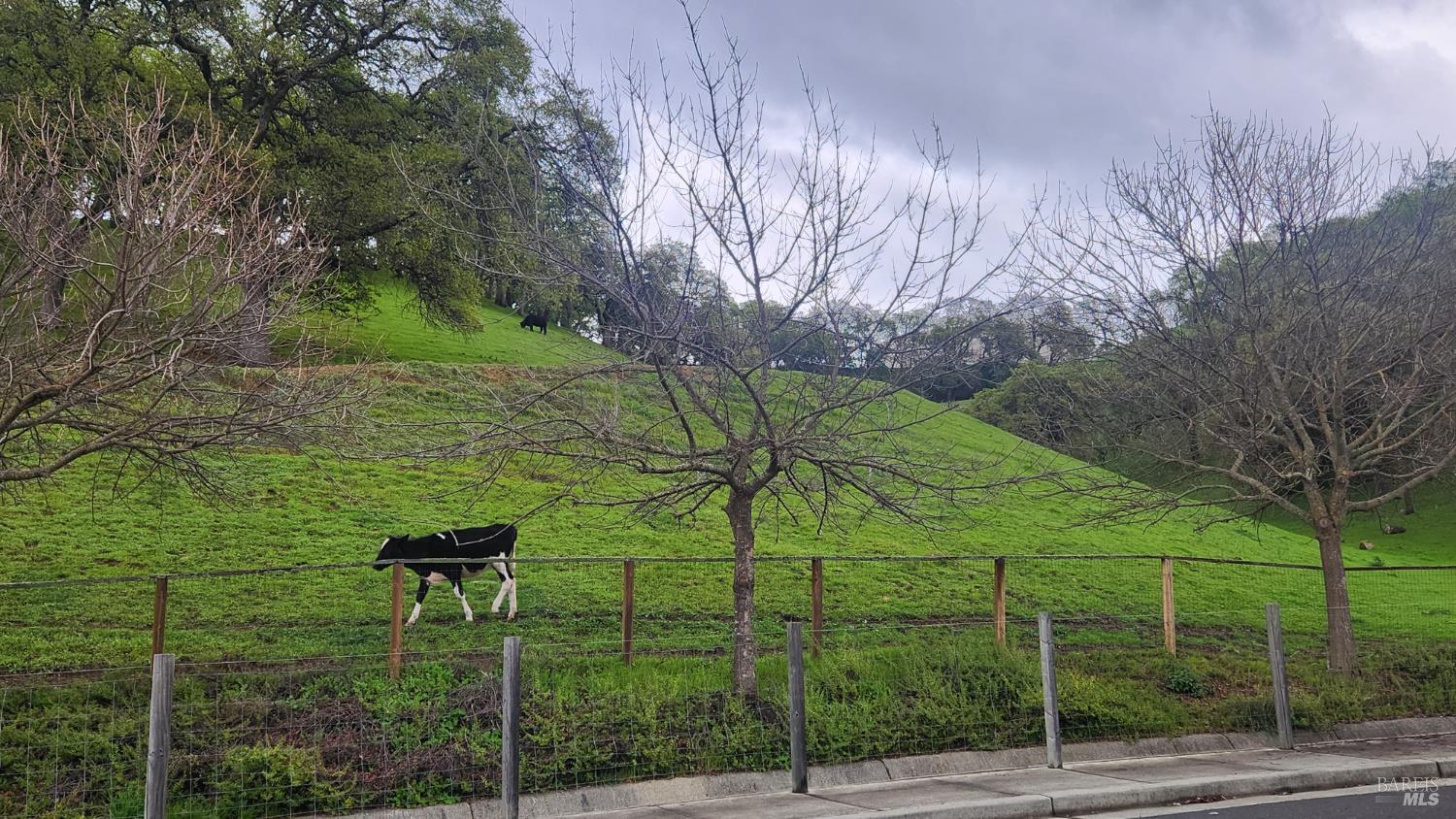 Detail Gallery Image 18 of 81 For 3183 Olympic Rd, Fairfield,  CA 94534 - 4 Beds | 3 Baths