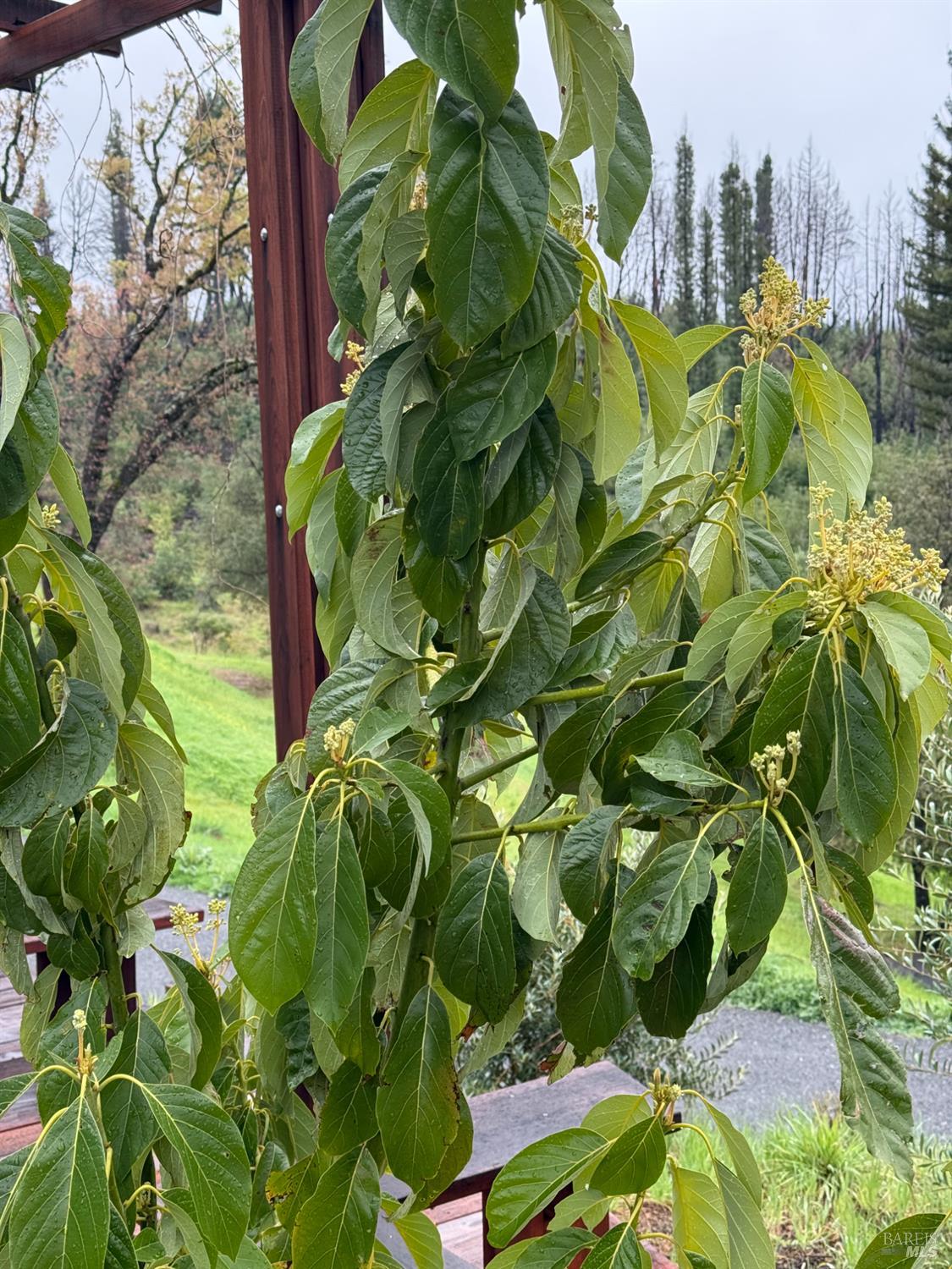 Detail Gallery Image 53 of 61 For 9451 Mill Creek Rd, Healdsburg,  CA 95448 - 2 Beds | 2 Baths