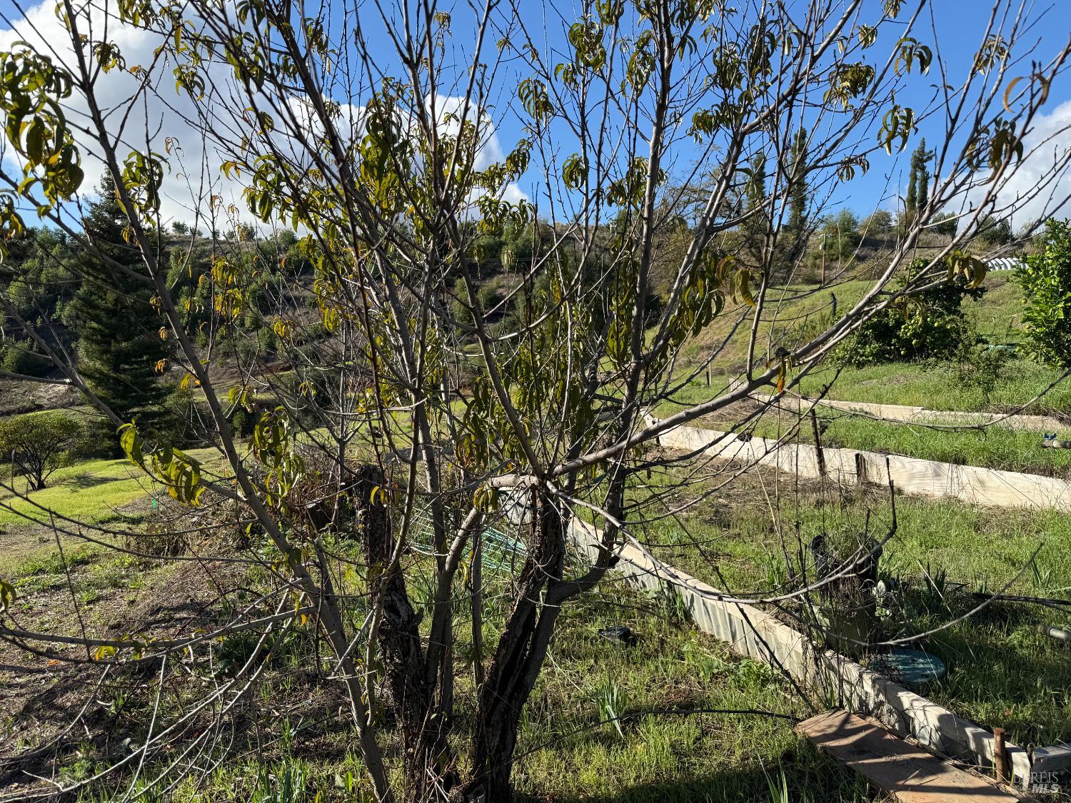 Detail Gallery Image 56 of 61 For 9451 Mill Creek Rd, Healdsburg,  CA 95448 - 2 Beds | 2 Baths