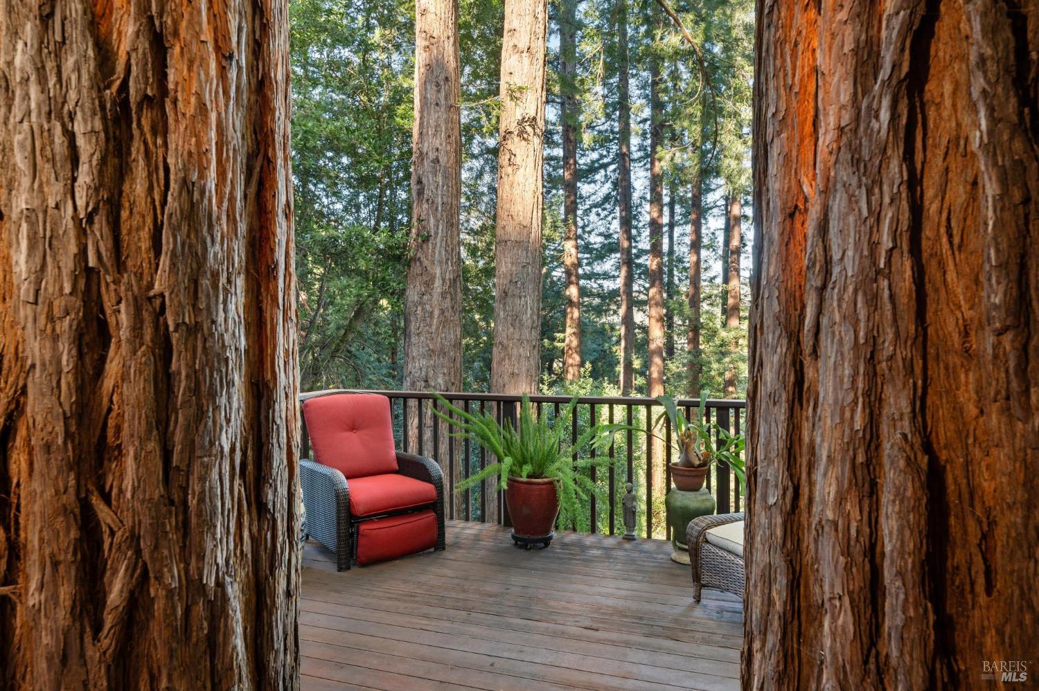 Detail Gallery Image 28 of 35 For 399 Marion Ave, Mill Valley,  CA 94941 - 3 Beds | 2/1 Baths