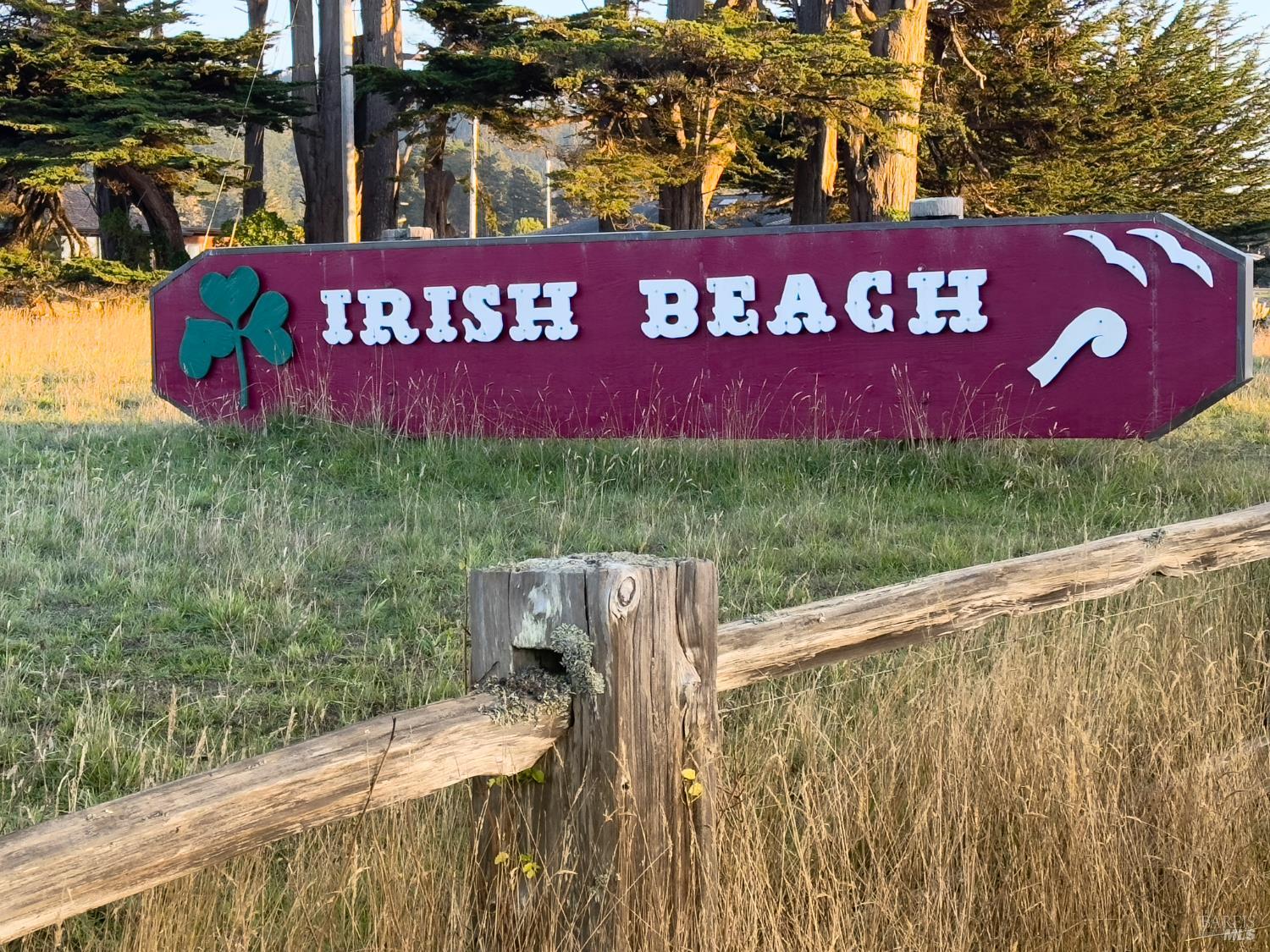 Detail Gallery Image 3 of 30 For 15691 Forest View Rd, Manchester,  CA 95459 - 3 Beds | 2 Baths