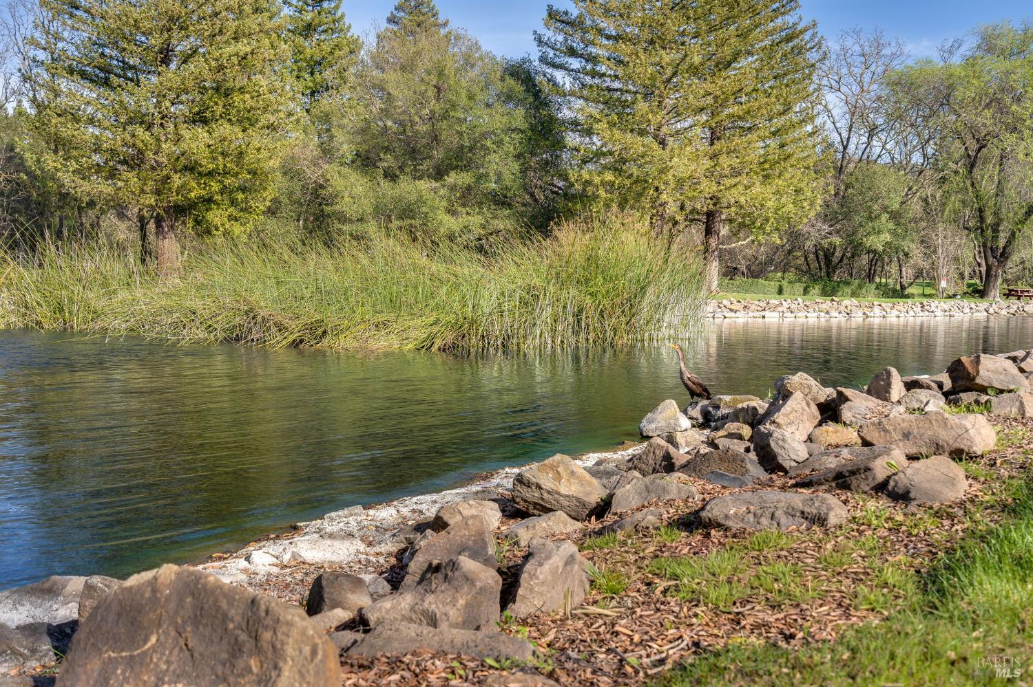 Detail Gallery Image 43 of 47 For 2322 Lakeview Dr, Santa Rosa,  CA 95405 - 3 Beds | 2 Baths