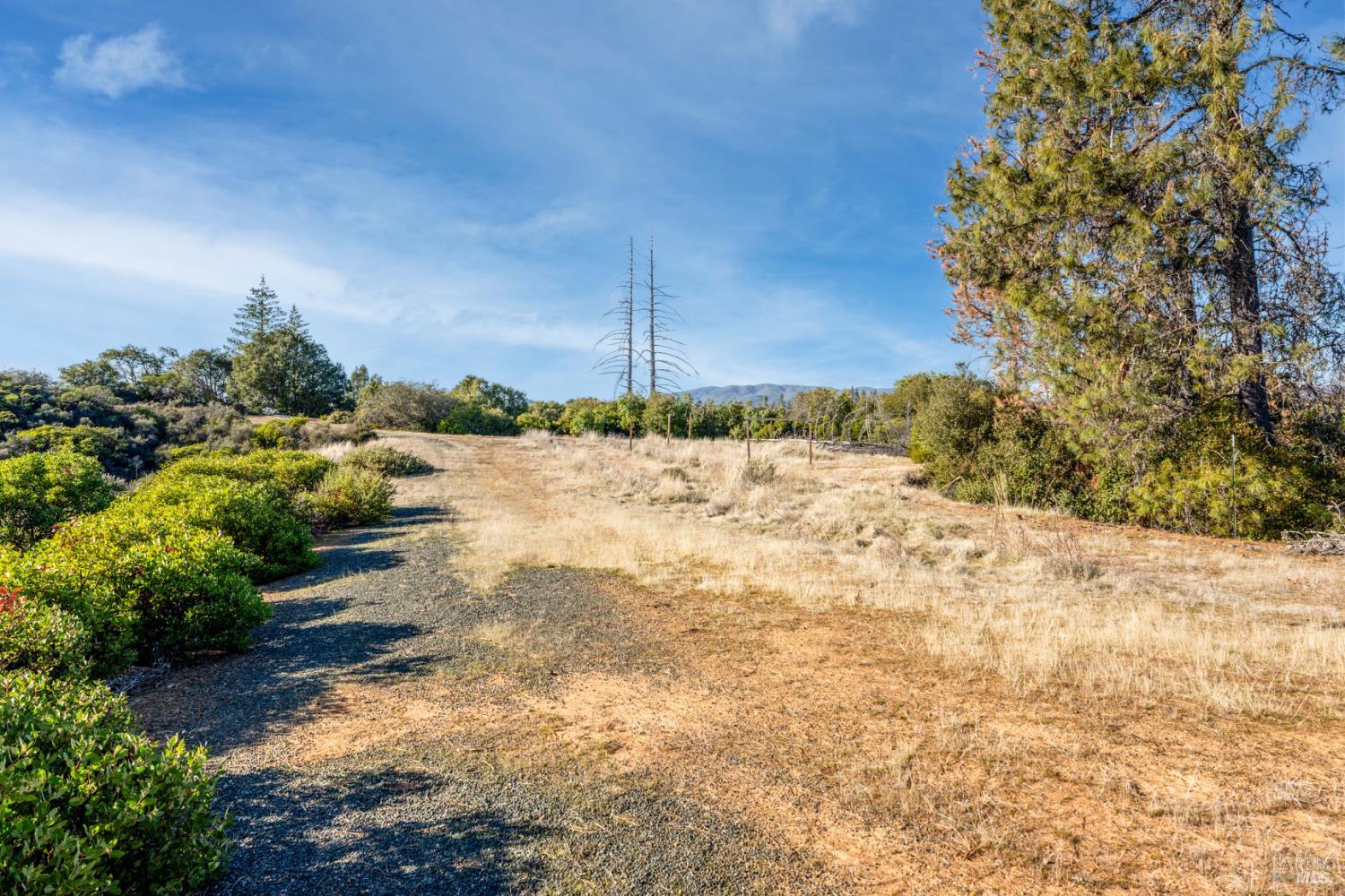 Detail Gallery Image 13 of 20 For 3681 Benmore Valley Rd, Lakeport,  CA 95453 - – Beds | – Baths