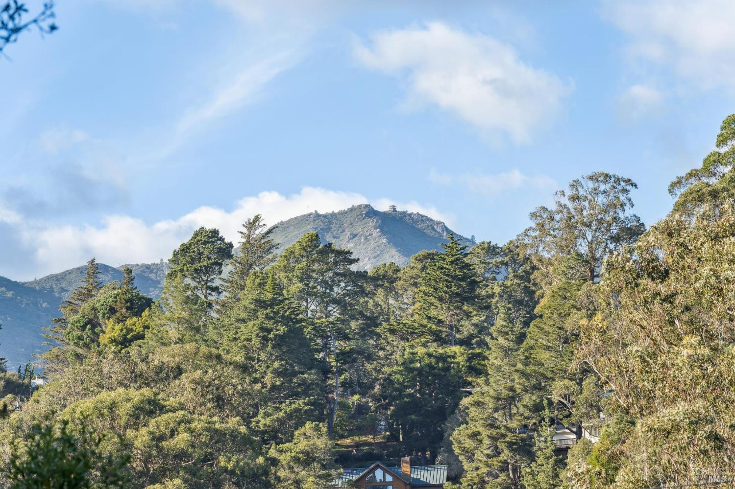 Detail Gallery Image 64 of 66 For 405 Laverne Ave, Mill Valley,  CA 94941 - 5 Beds | 4 Baths