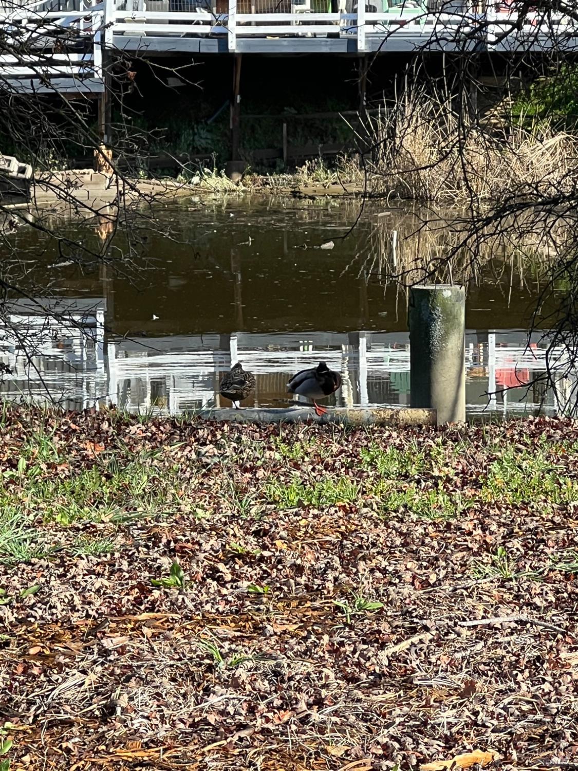 Detail Gallery Image 5 of 5 For 13344 Anchor Vlg, Clearlake Oaks,  CA 95423 - – Beds | – Baths