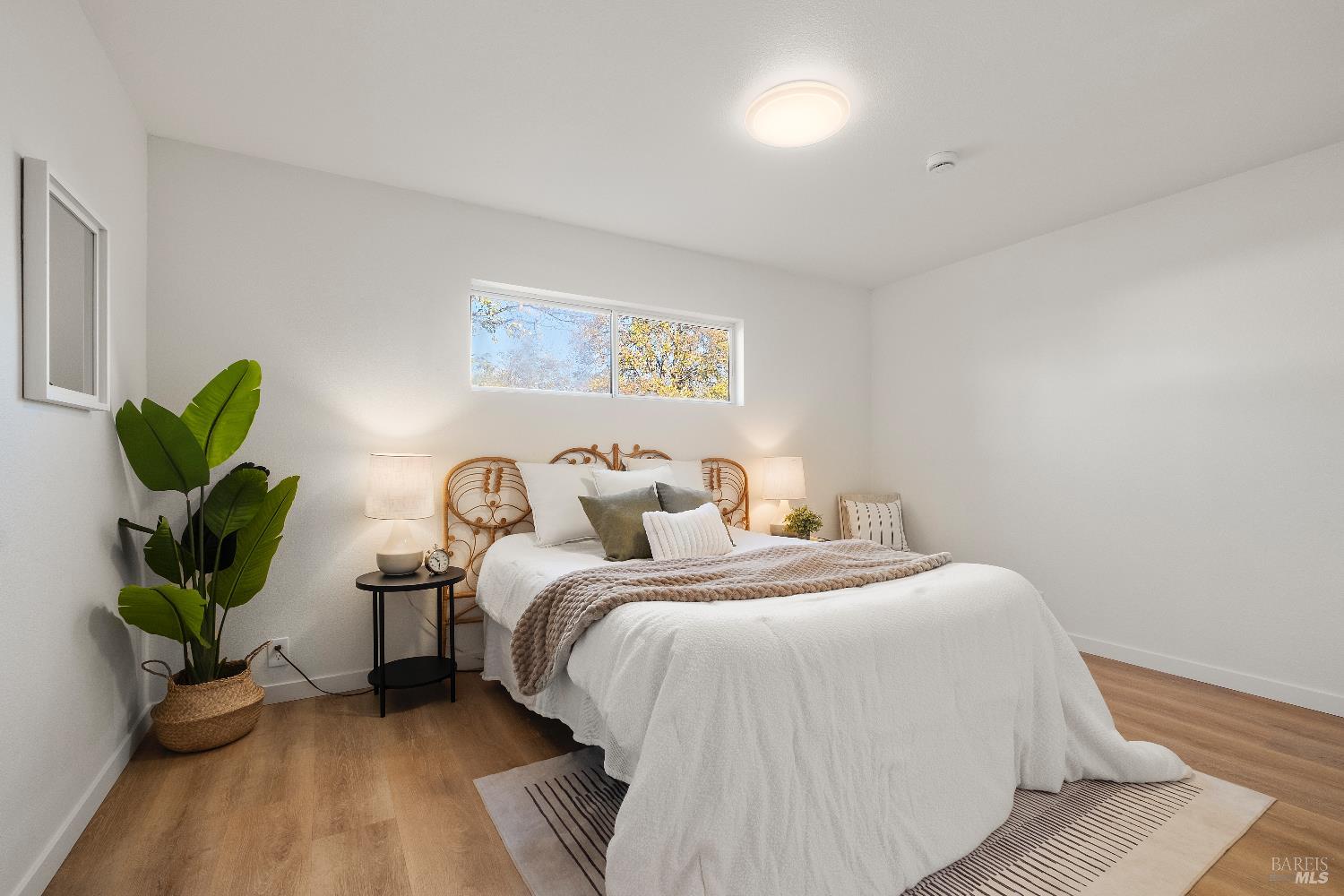 Detail Gallery Image 22 of 28 For 1313 Mcgregor Ave, Petaluma,  CA 94954 - 3 Beds | 1 Baths