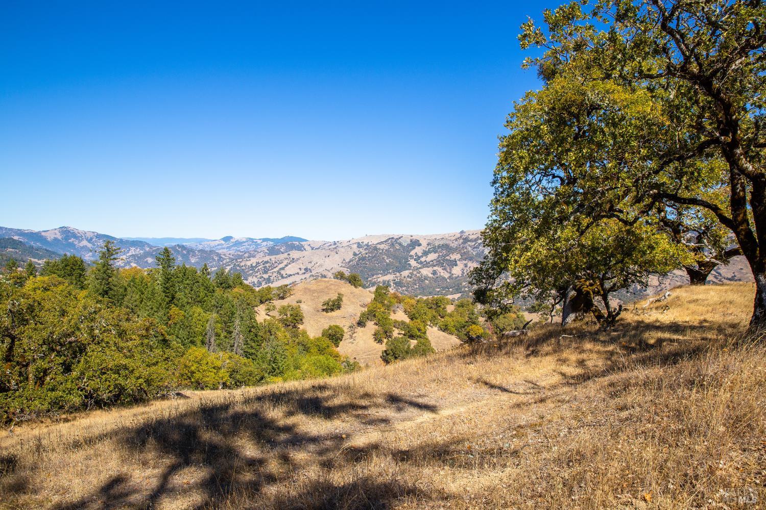 Detail Gallery Image 5 of 15 For 7721 Simmerly Ranch Rd, Laytonville,  CA 95454 - – Beds | – Baths