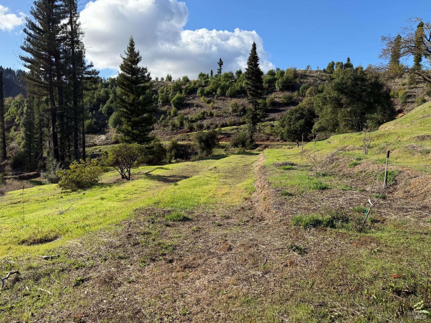 Detail Gallery Image 52 of 61 For 9451 Mill Creek Rd, Healdsburg,  CA 95448 - 2 Beds | 2 Baths