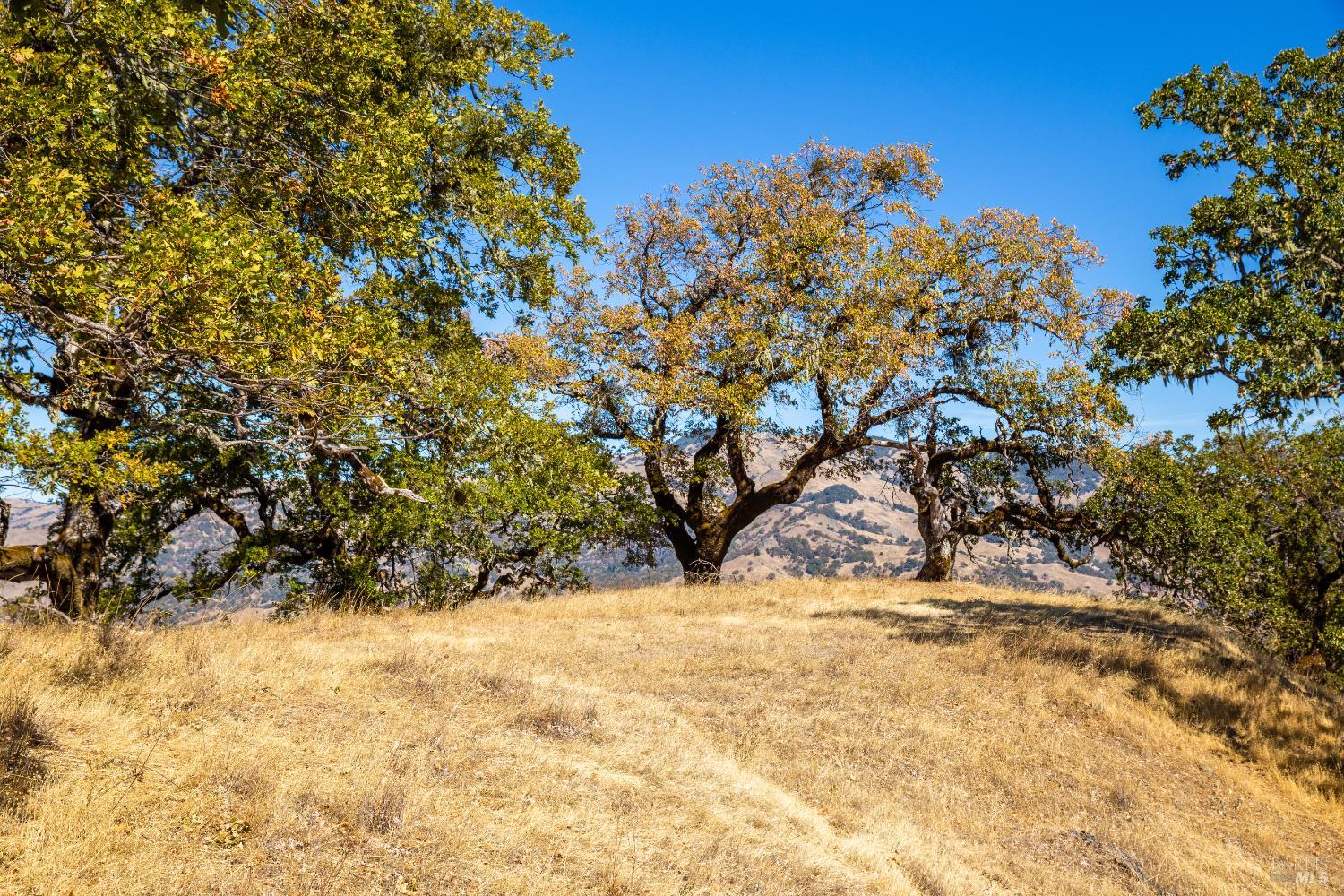 Detail Gallery Image 4 of 15 For 7721 Simmerly Ranch Rd, Laytonville,  CA 95454 - – Beds | – Baths