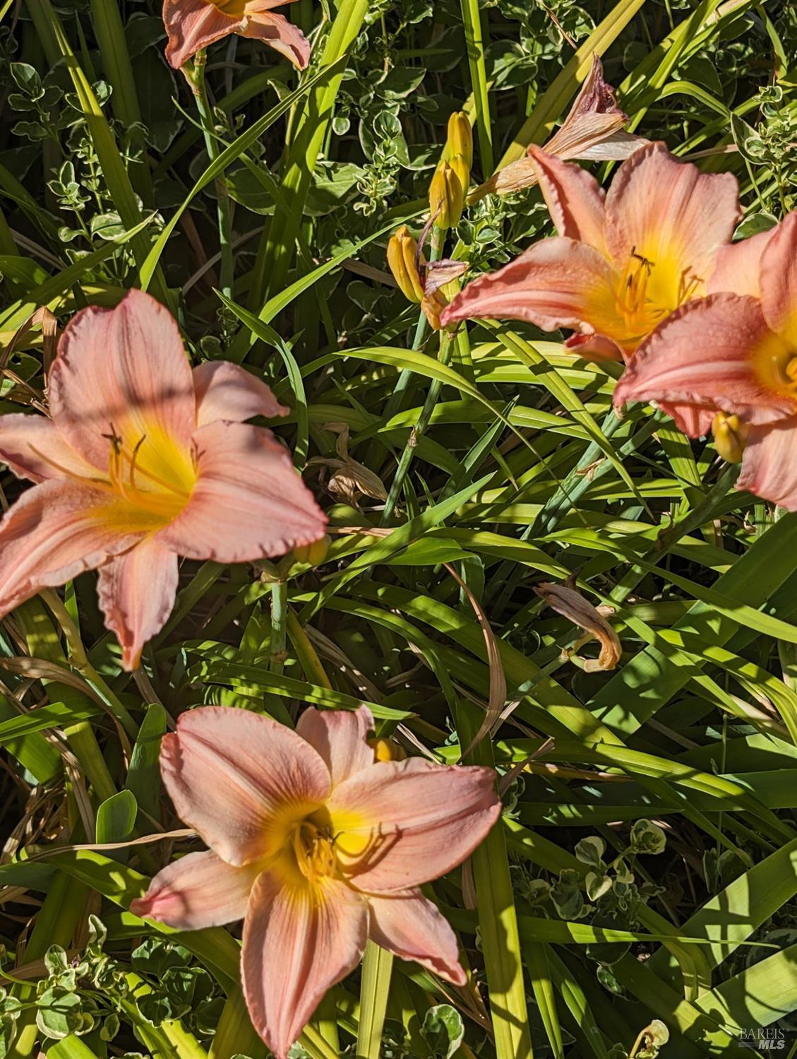 Detail Gallery Image 28 of 29 For Address Is Not Disclosed, Rohnert Park,  CA 94928 - 2 Beds | 1 Baths