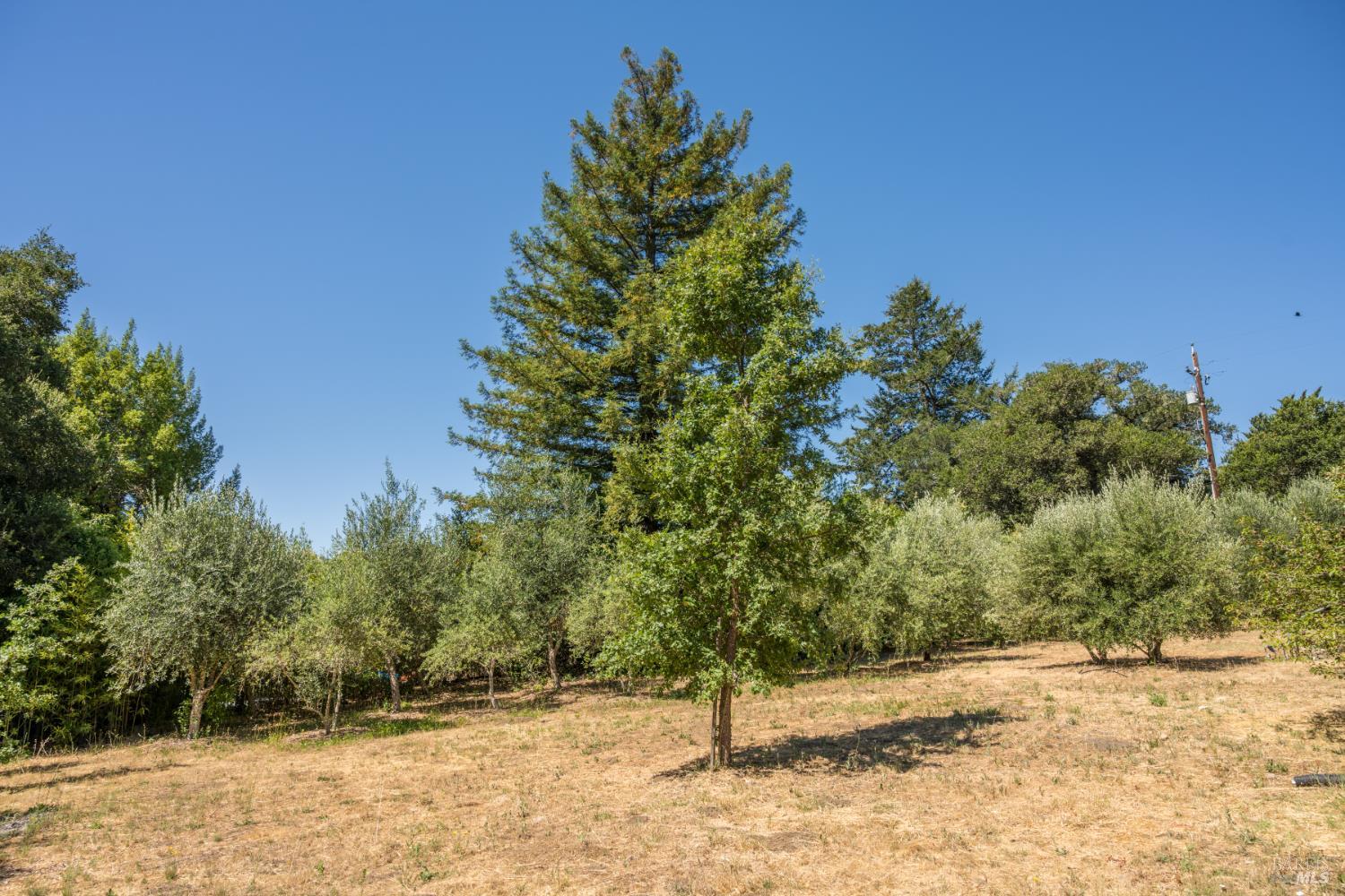 Detail Gallery Image 54 of 62 For 14856 Chalk Hill Rd, Healdsburg,  CA 95448 - 3 Beds | 2/1 Baths