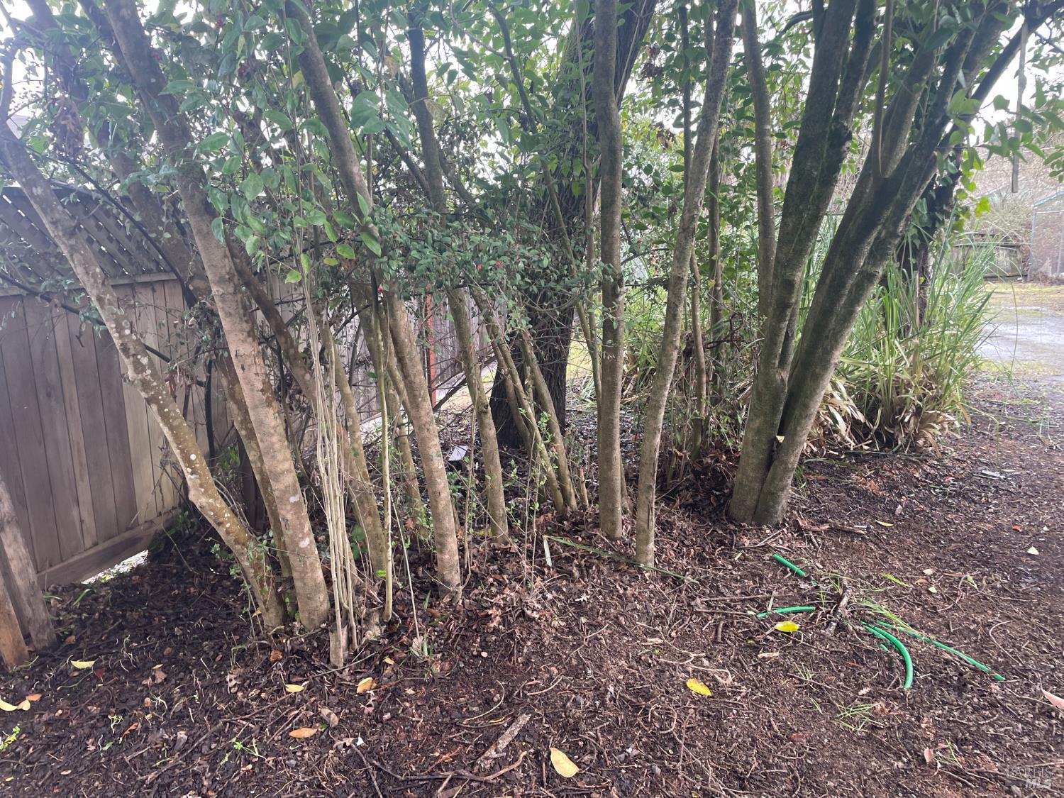 Detail Gallery Image 37 of 37 For 1280 Petaluma Blvd, Petaluma,  CA 94952 - 3 Beds | 1 Baths