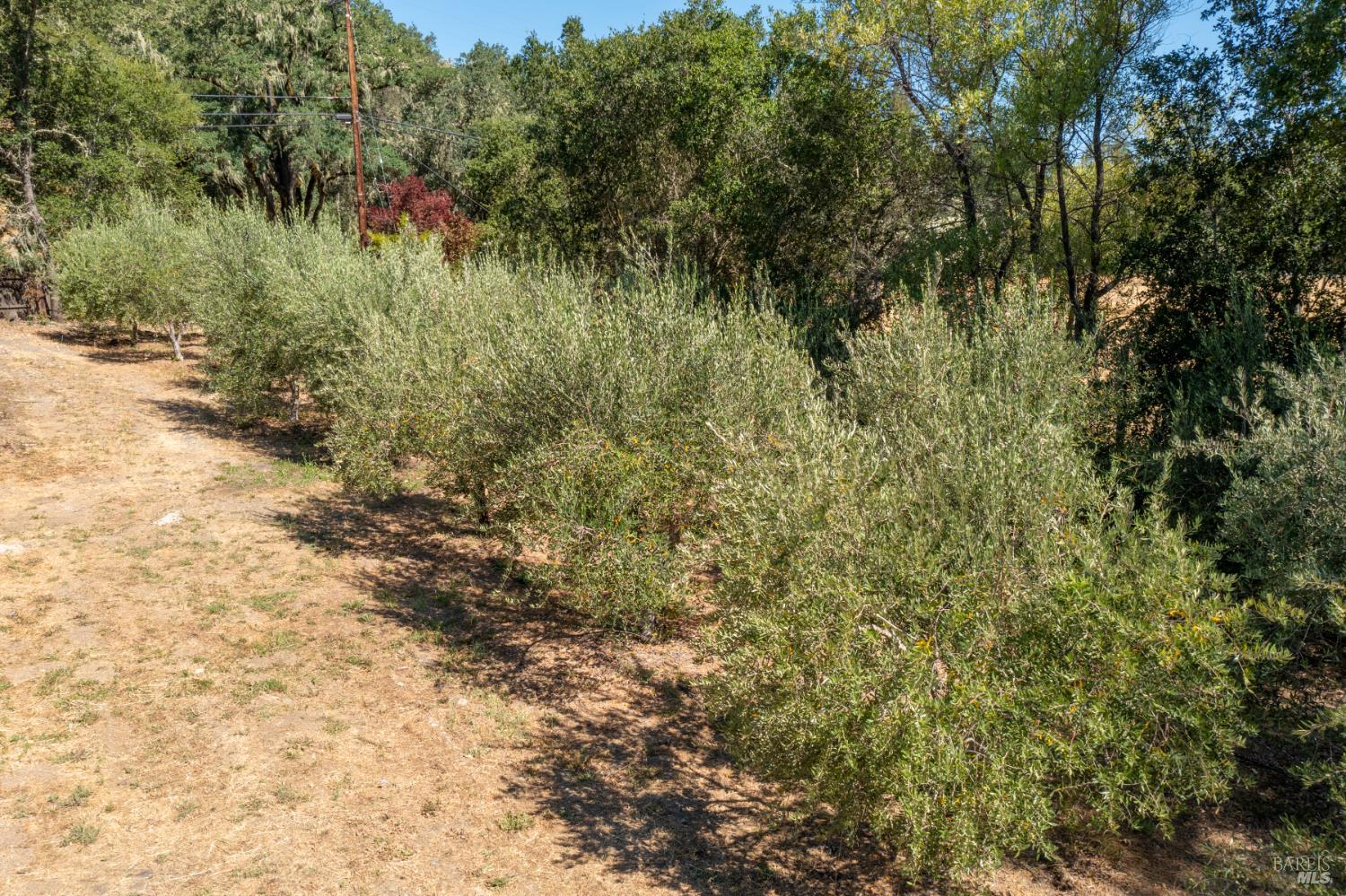 Detail Gallery Image 57 of 62 For 14856 Chalk Hill Rd, Healdsburg,  CA 95448 - 3 Beds | 2/1 Baths