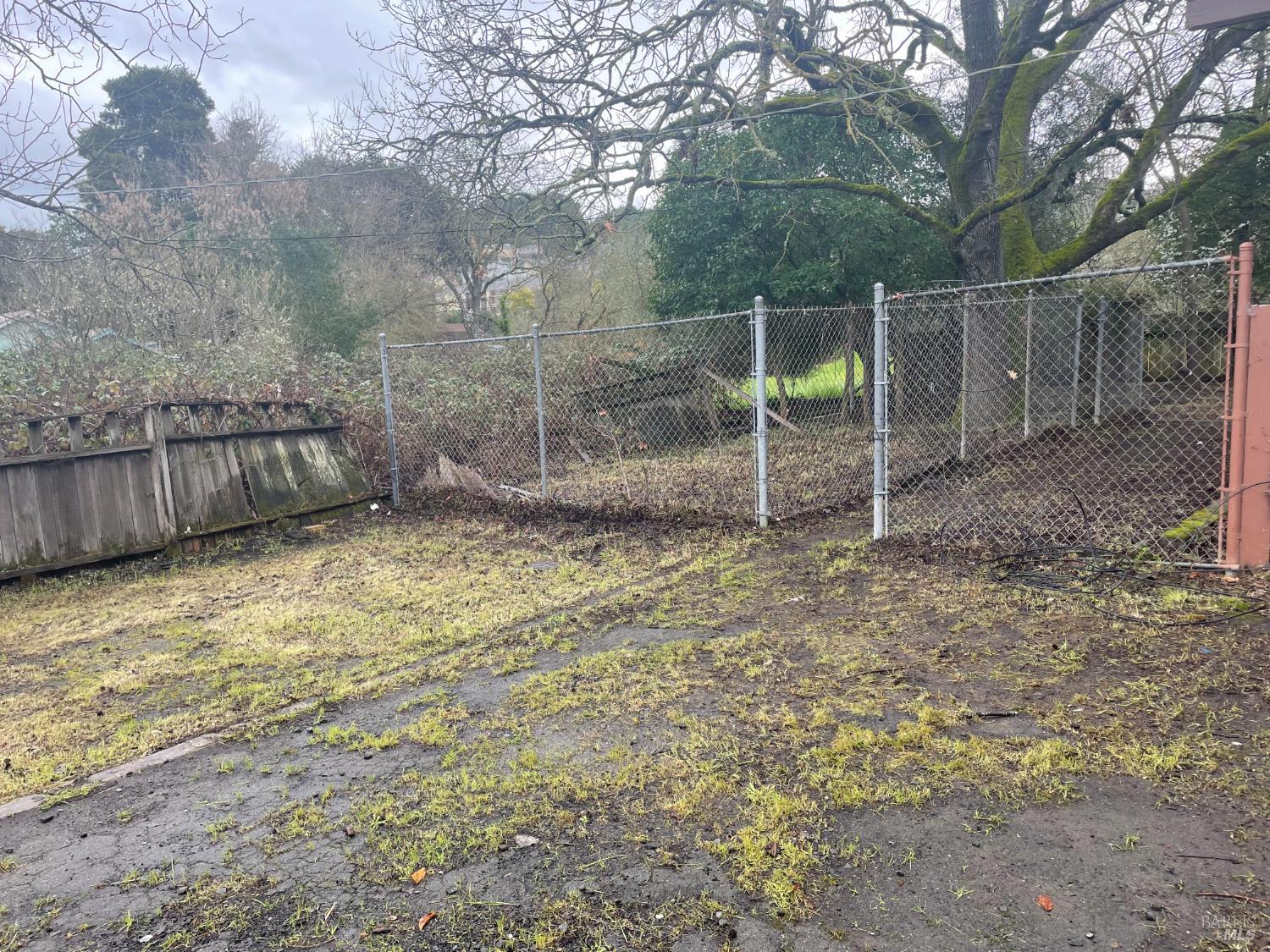 Detail Gallery Image 28 of 37 For 1280 Petaluma Blvd, Petaluma,  CA 94952 - 3 Beds | 1 Baths