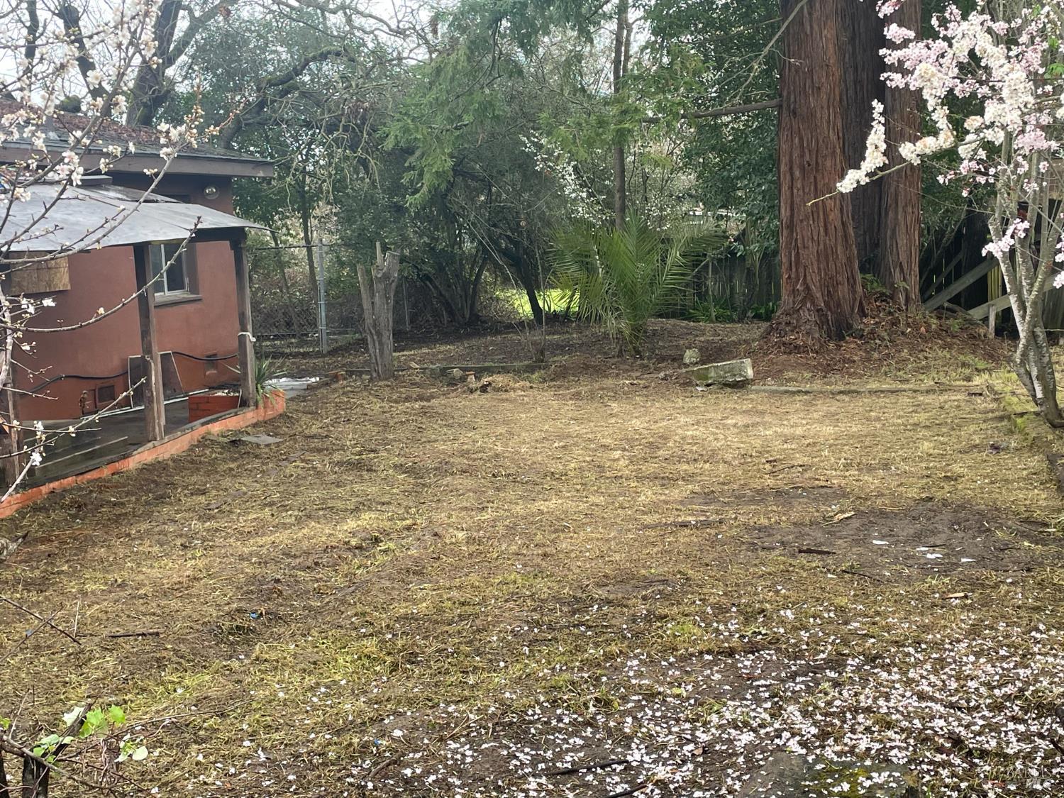 Detail Gallery Image 34 of 37 For 1280 Petaluma Blvd, Petaluma,  CA 94952 - 3 Beds | 1 Baths