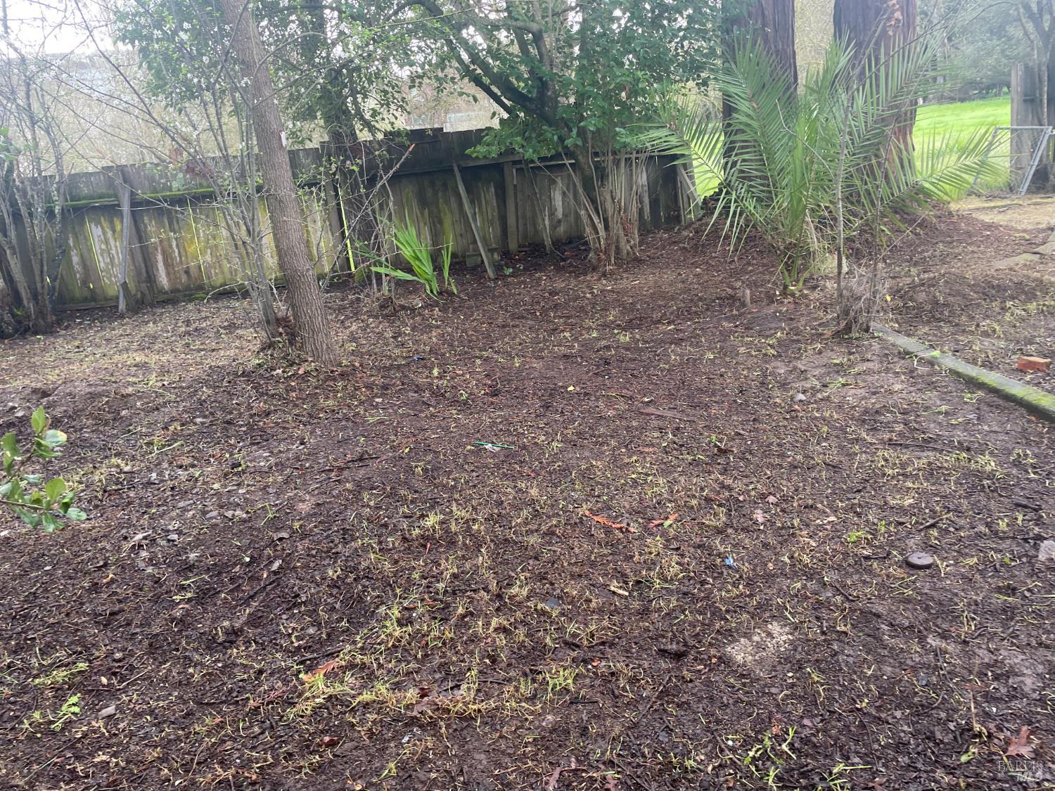 Detail Gallery Image 30 of 37 For 1280 Petaluma Blvd, Petaluma,  CA 94952 - 3 Beds | 1 Baths