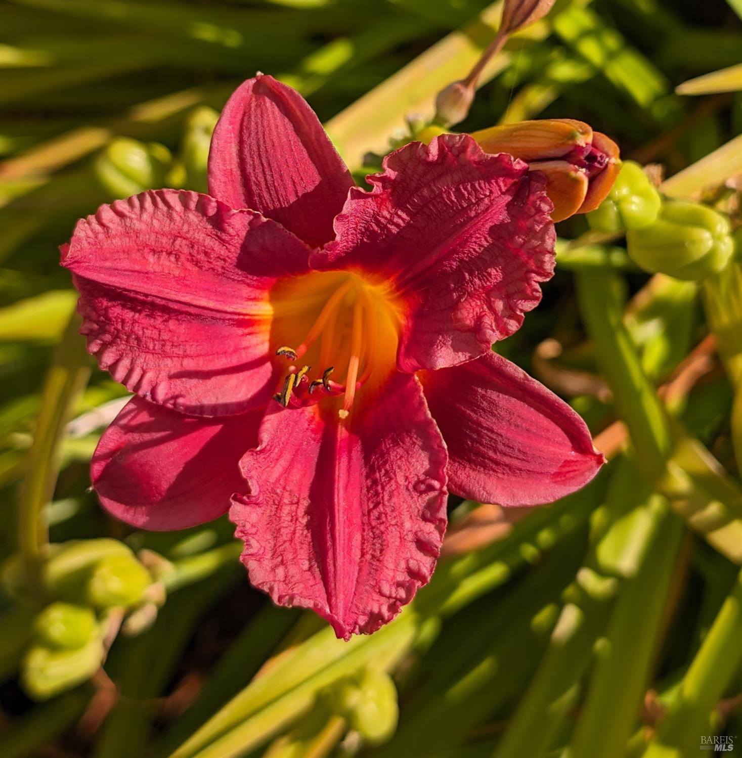 Detail Gallery Image 27 of 29 For Address Is Not Disclosed, Rohnert Park,  CA 94928 - 2 Beds | 1 Baths