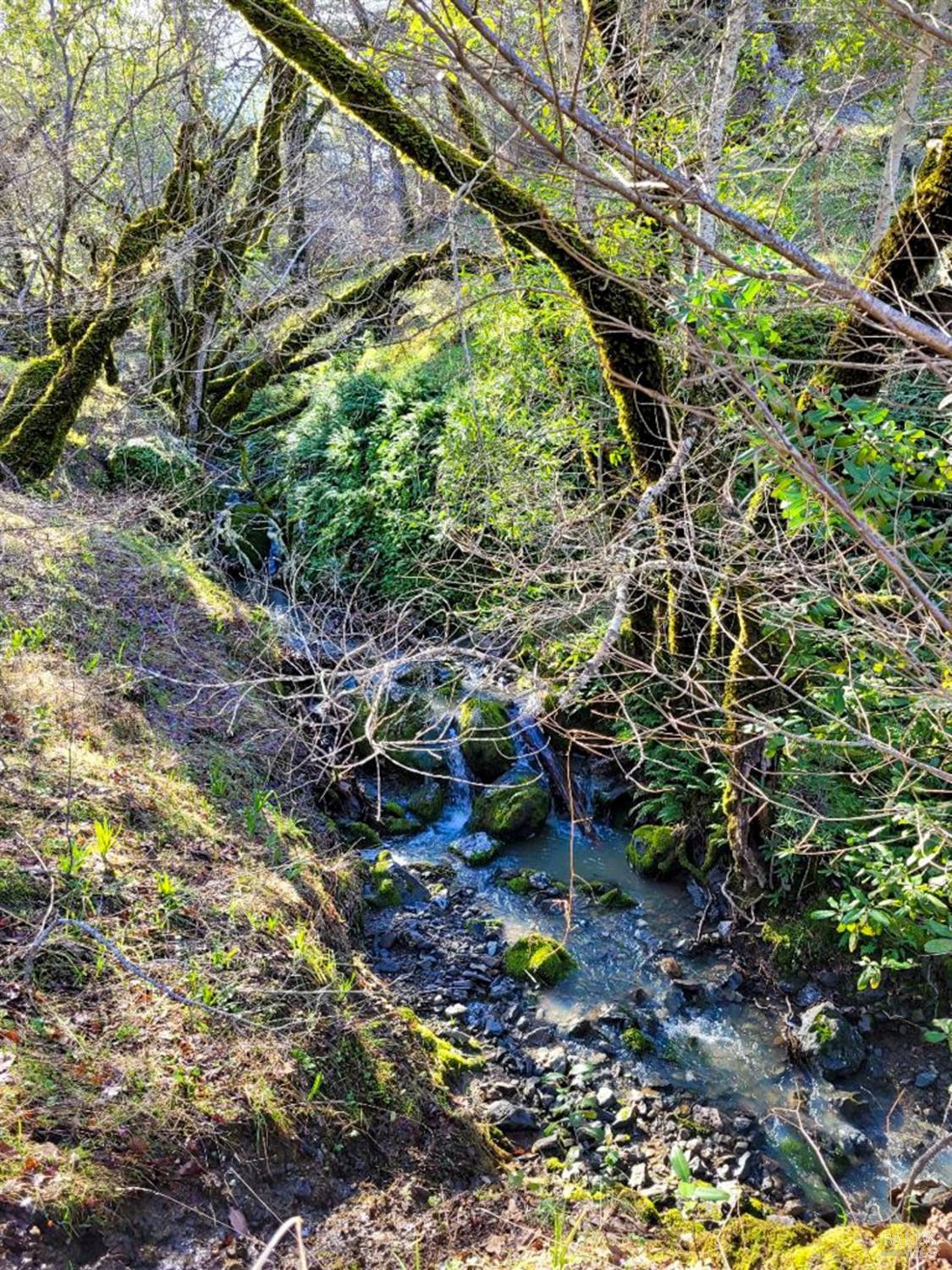 Detail Gallery Image 87 of 91 For 5510 Parducci Rd, Ukiah,  CA 95482 - 3 Beds | 3 Baths