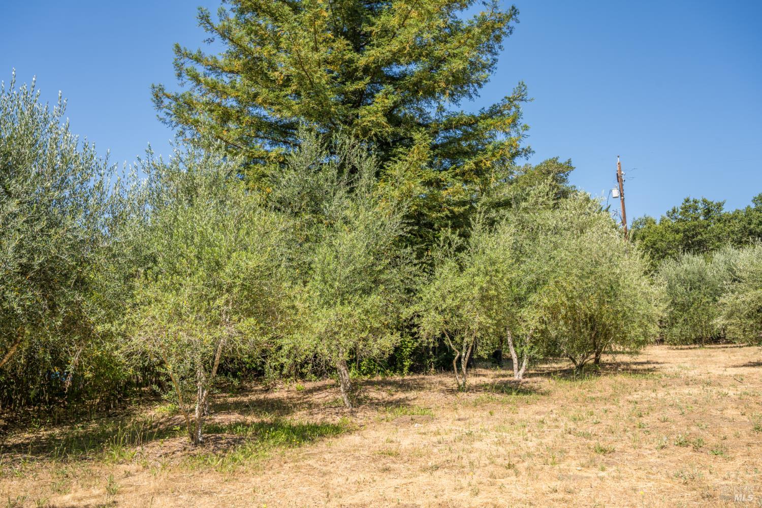 Detail Gallery Image 55 of 62 For 14856 Chalk Hill Rd, Healdsburg,  CA 95448 - 3 Beds | 2/1 Baths