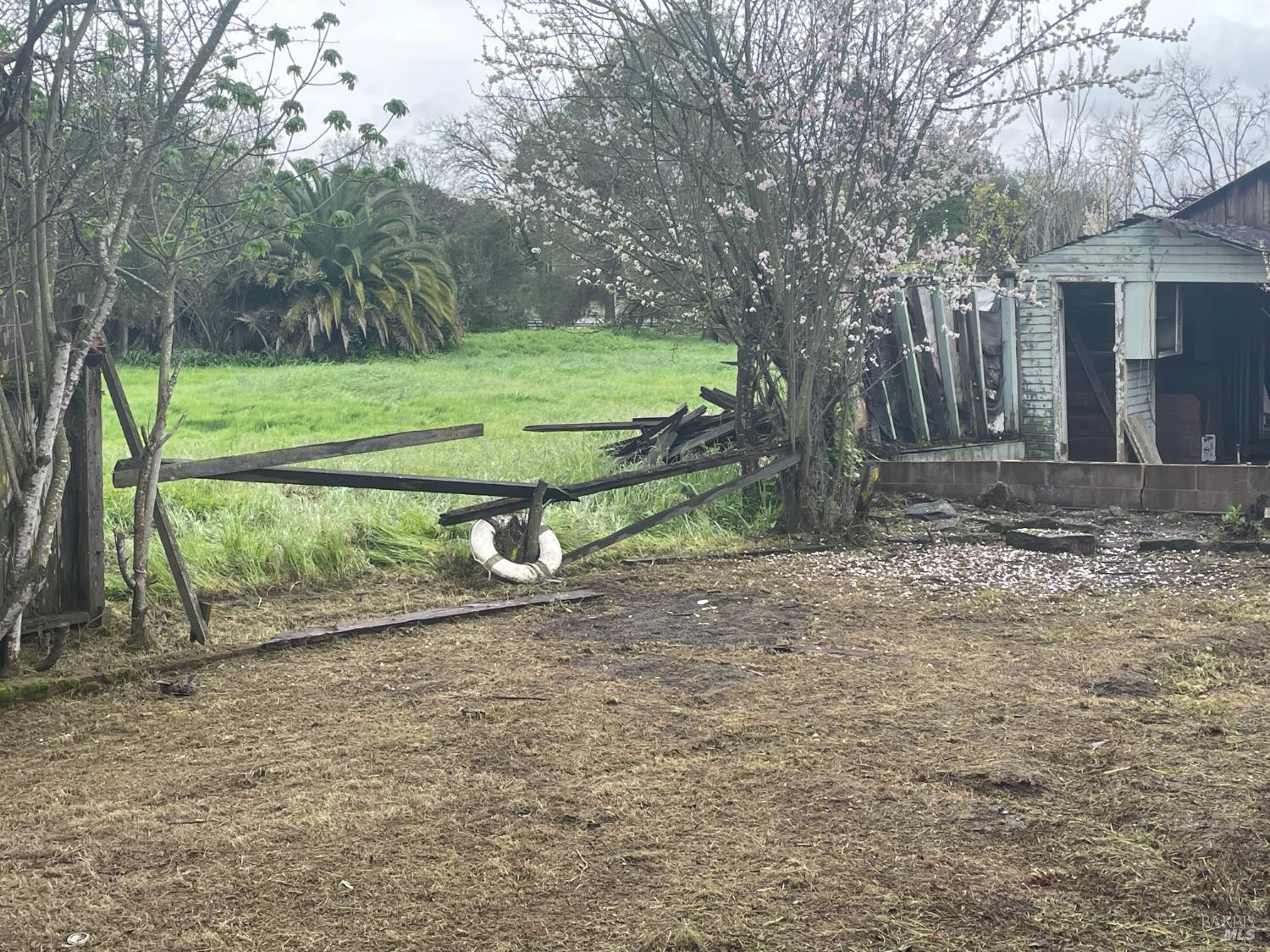 Detail Gallery Image 32 of 37 For 1280 Petaluma Blvd, Petaluma,  CA 94952 - 3 Beds | 1 Baths