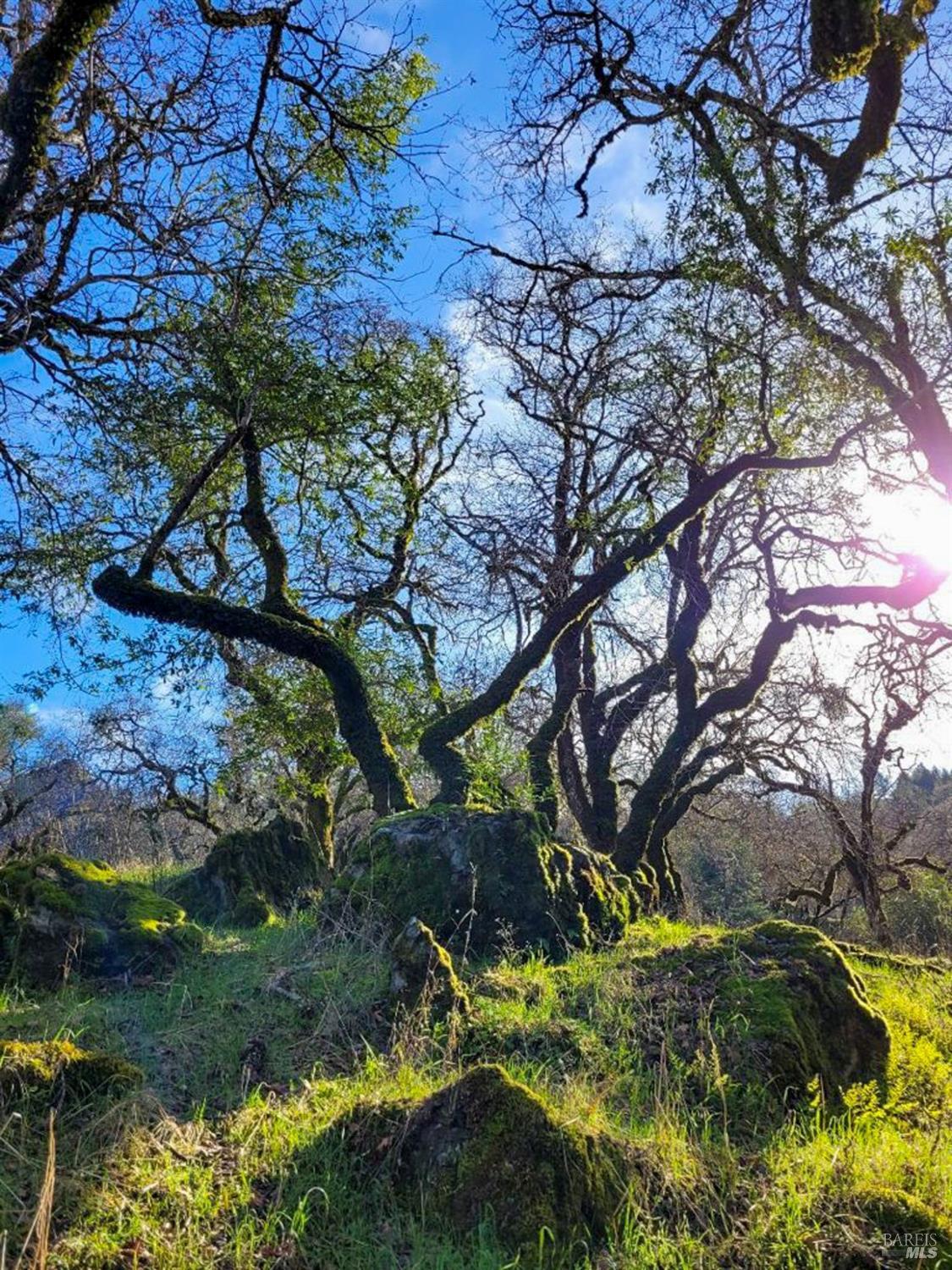 Detail Gallery Image 88 of 91 For 5510 Parducci Rd, Ukiah,  CA 95482 - 3 Beds | 3 Baths