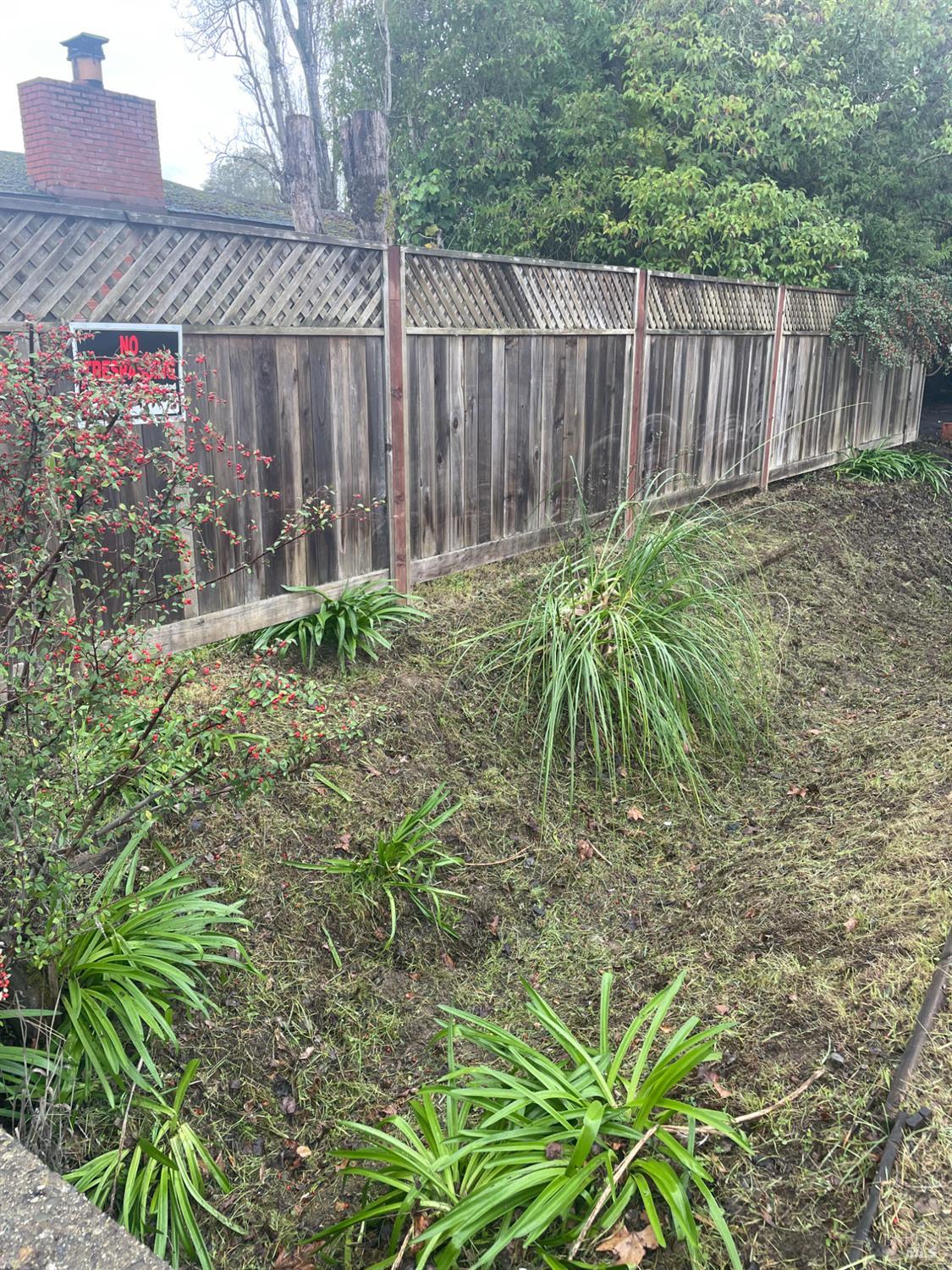 Detail Gallery Image 24 of 37 For 1280 Petaluma Blvd, Petaluma,  CA 94952 - 3 Beds | 1 Baths