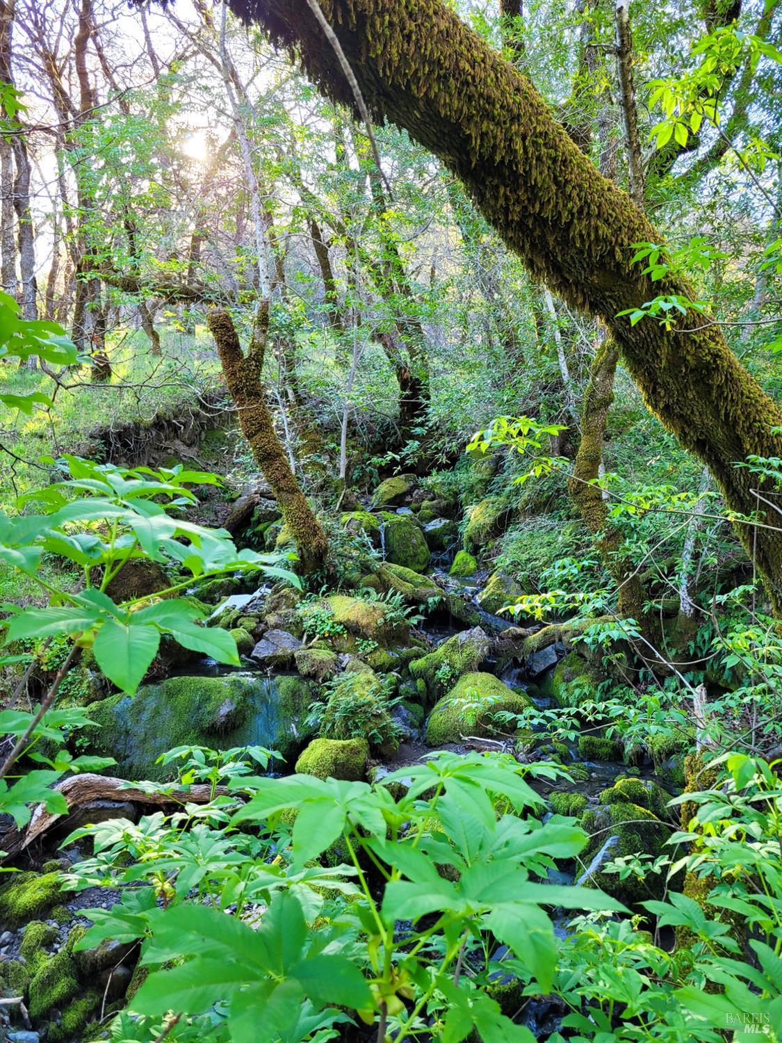 Detail Gallery Image 91 of 91 For 5510 Parducci Rd, Ukiah,  CA 95482 - 3 Beds | 3 Baths